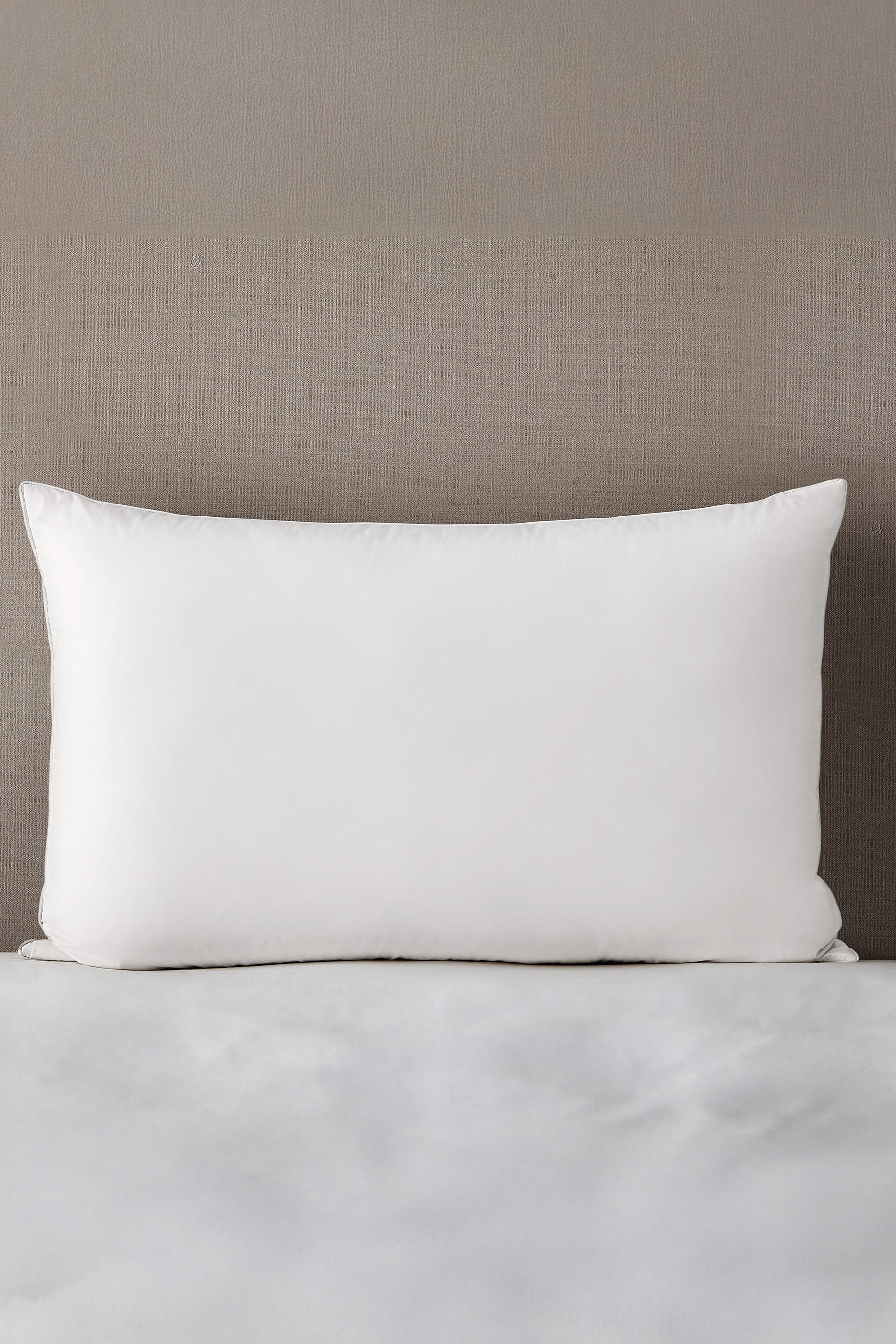 Canadian Goose Down Pillow, Medium Support