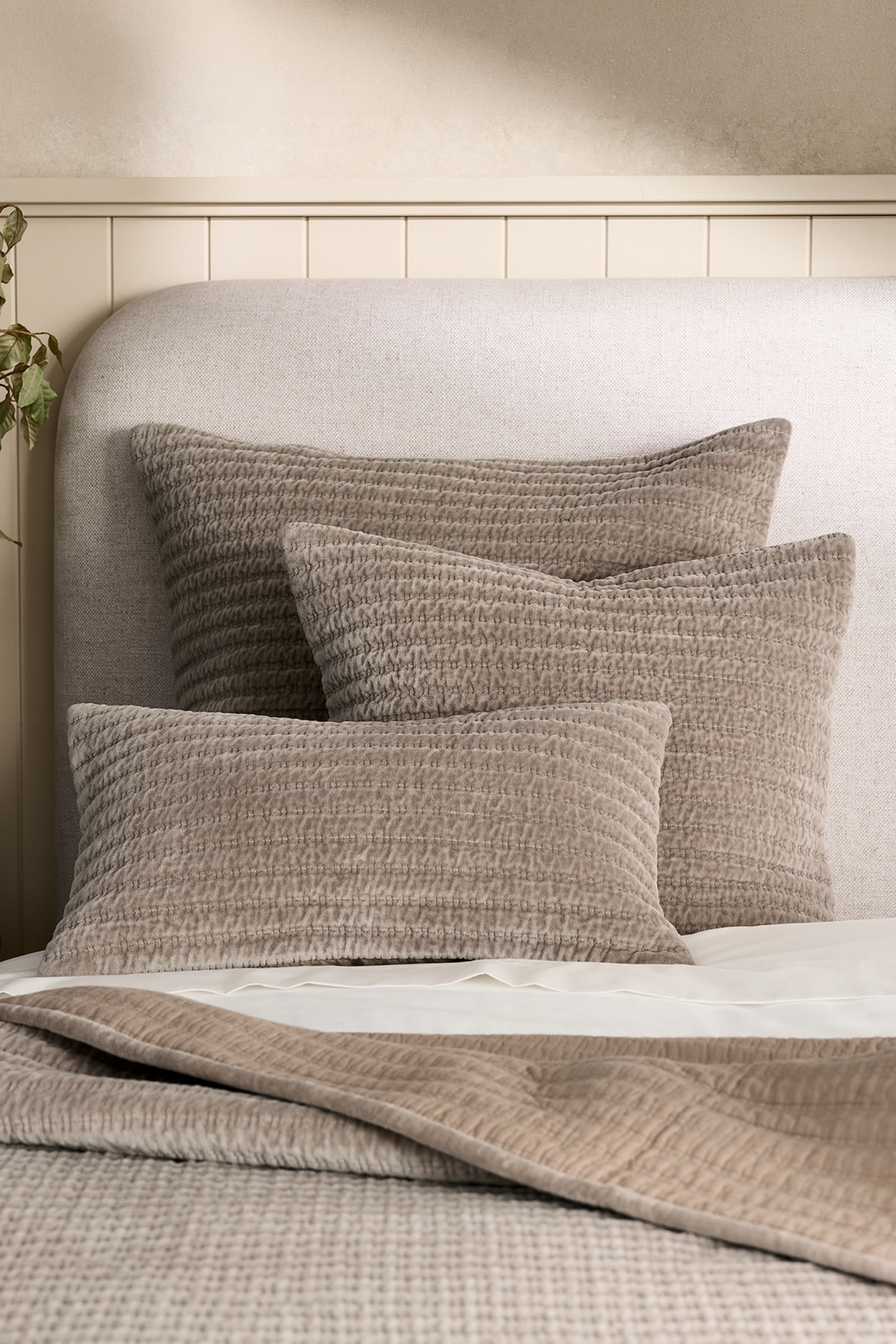 Farlow Cushion