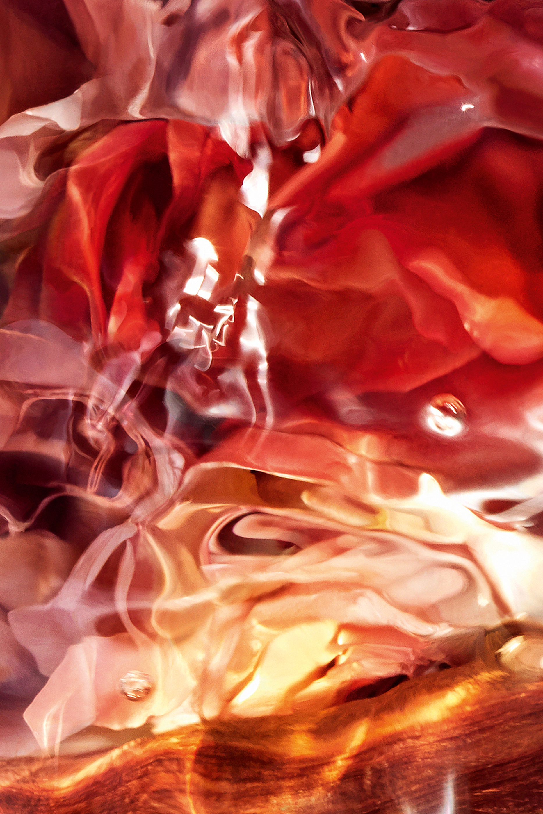 Aqua Allegoria Forte Rosa Palissandro Eau de Parfum