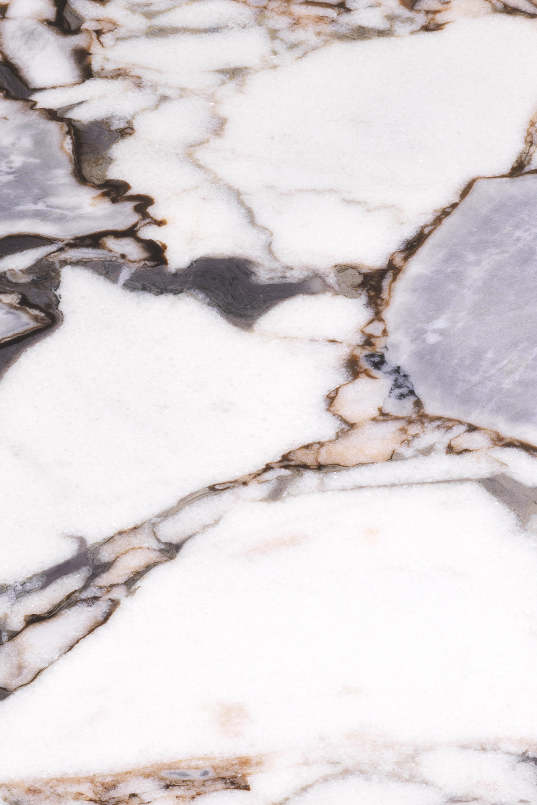 Shapiro Coffee Table