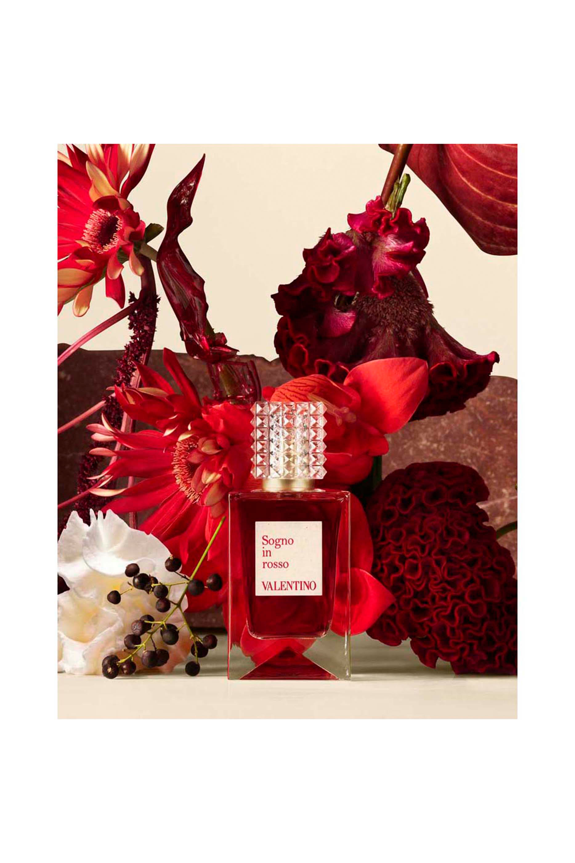 عطر أناتومي أوف دريمز - سوغنو إن روسو