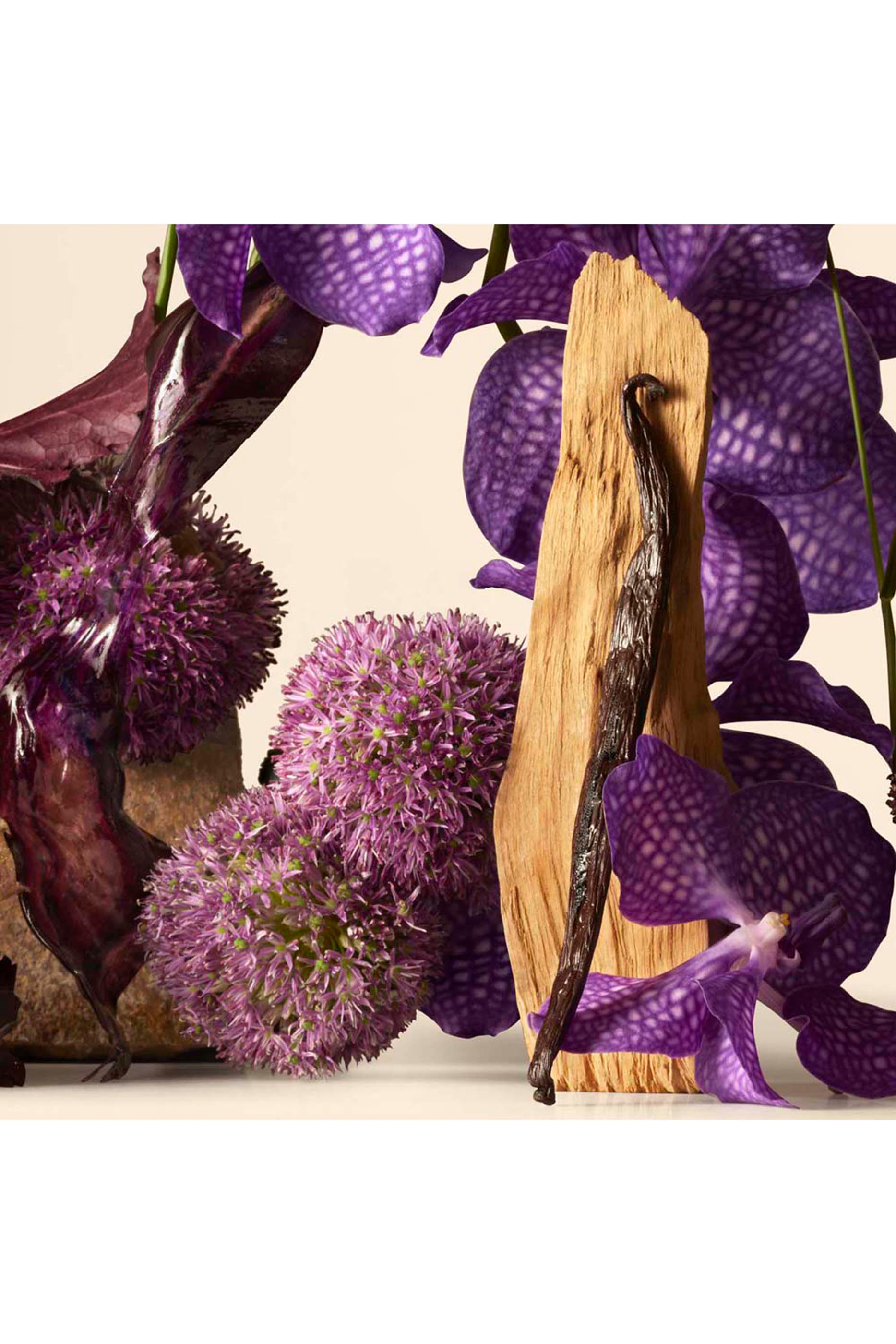 عطر أناتومي أوف دريمز - بانك رومانتيك