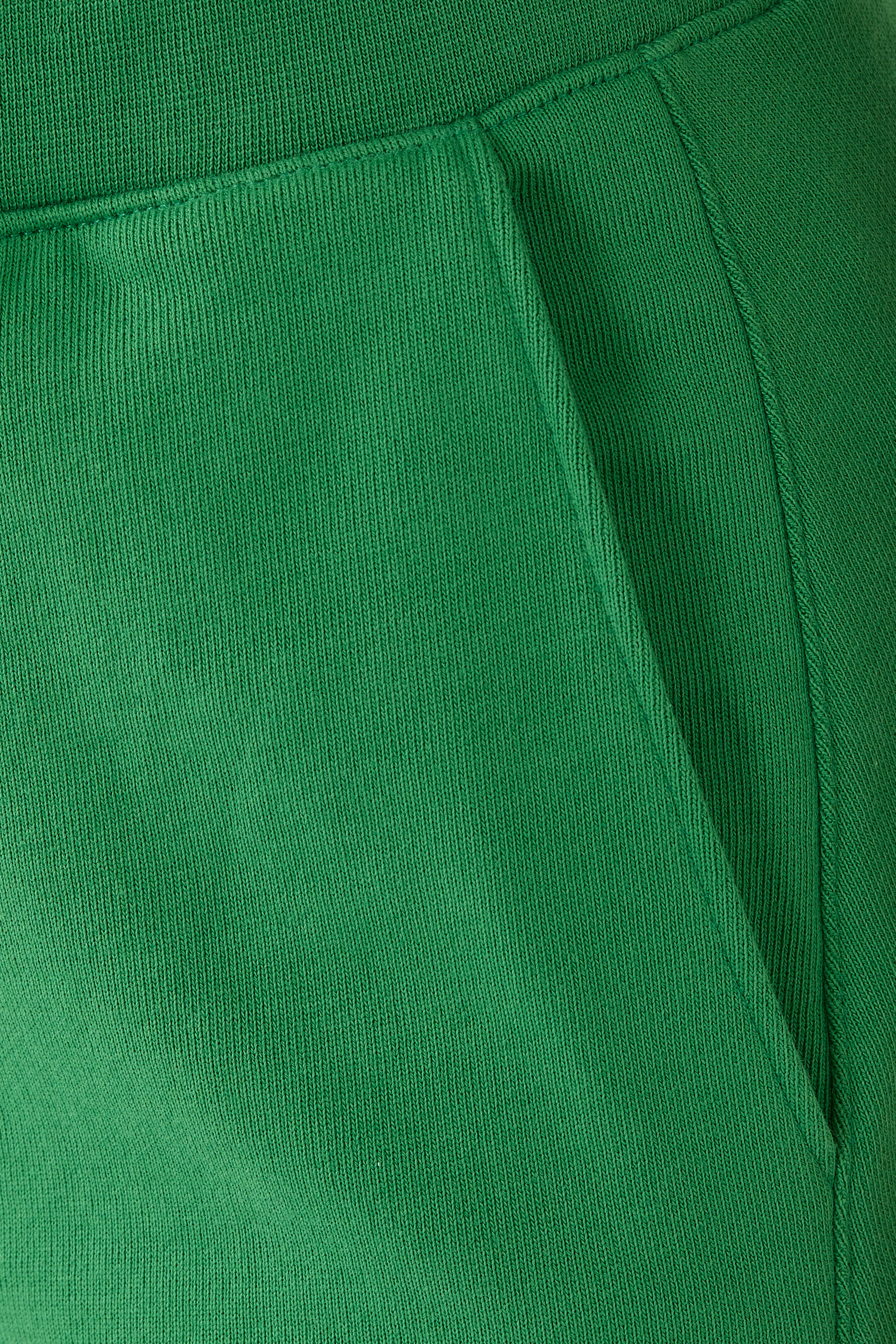 Sweatshirting Winslow Pants