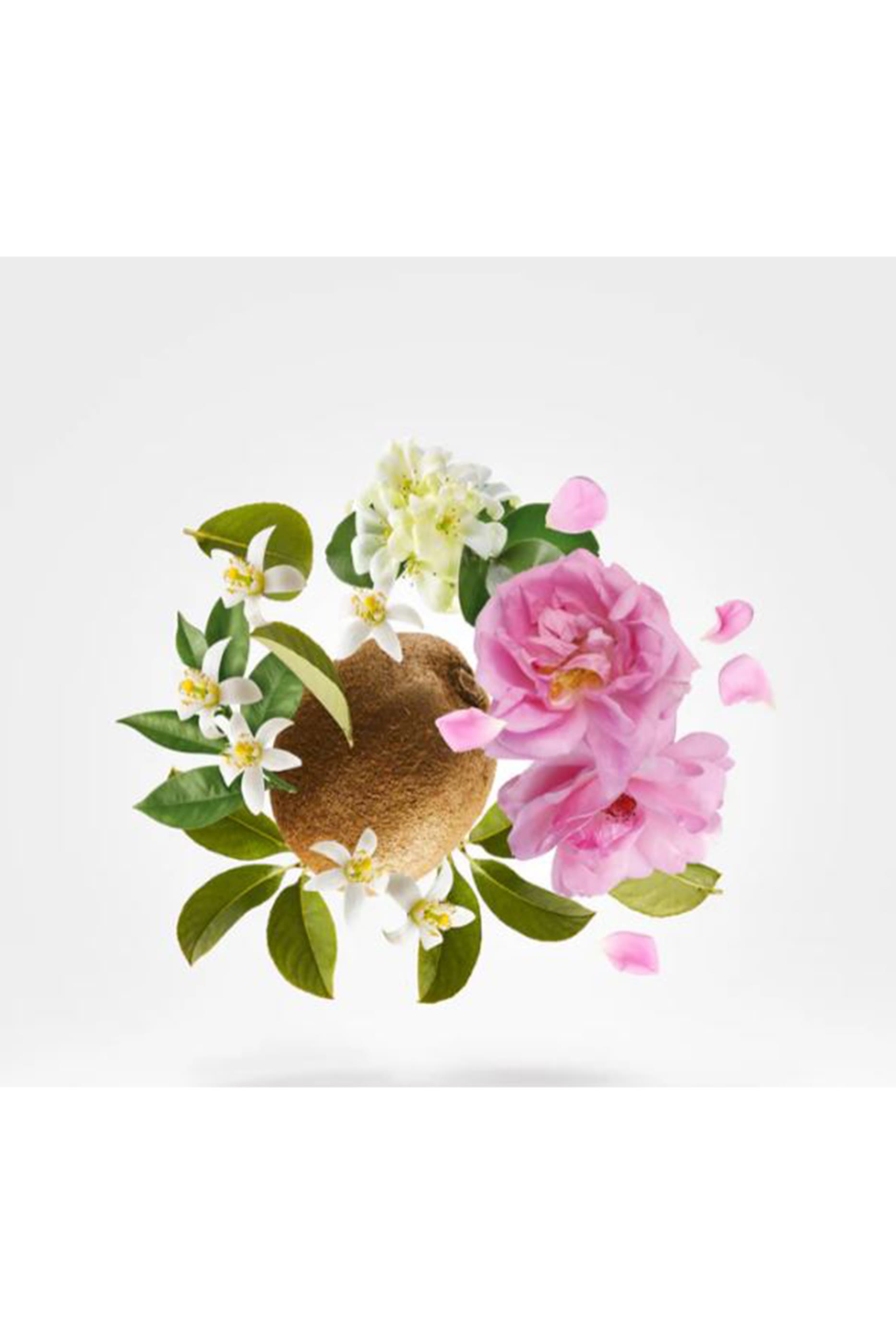 Shooting Stars Oesel Eau de Parfum