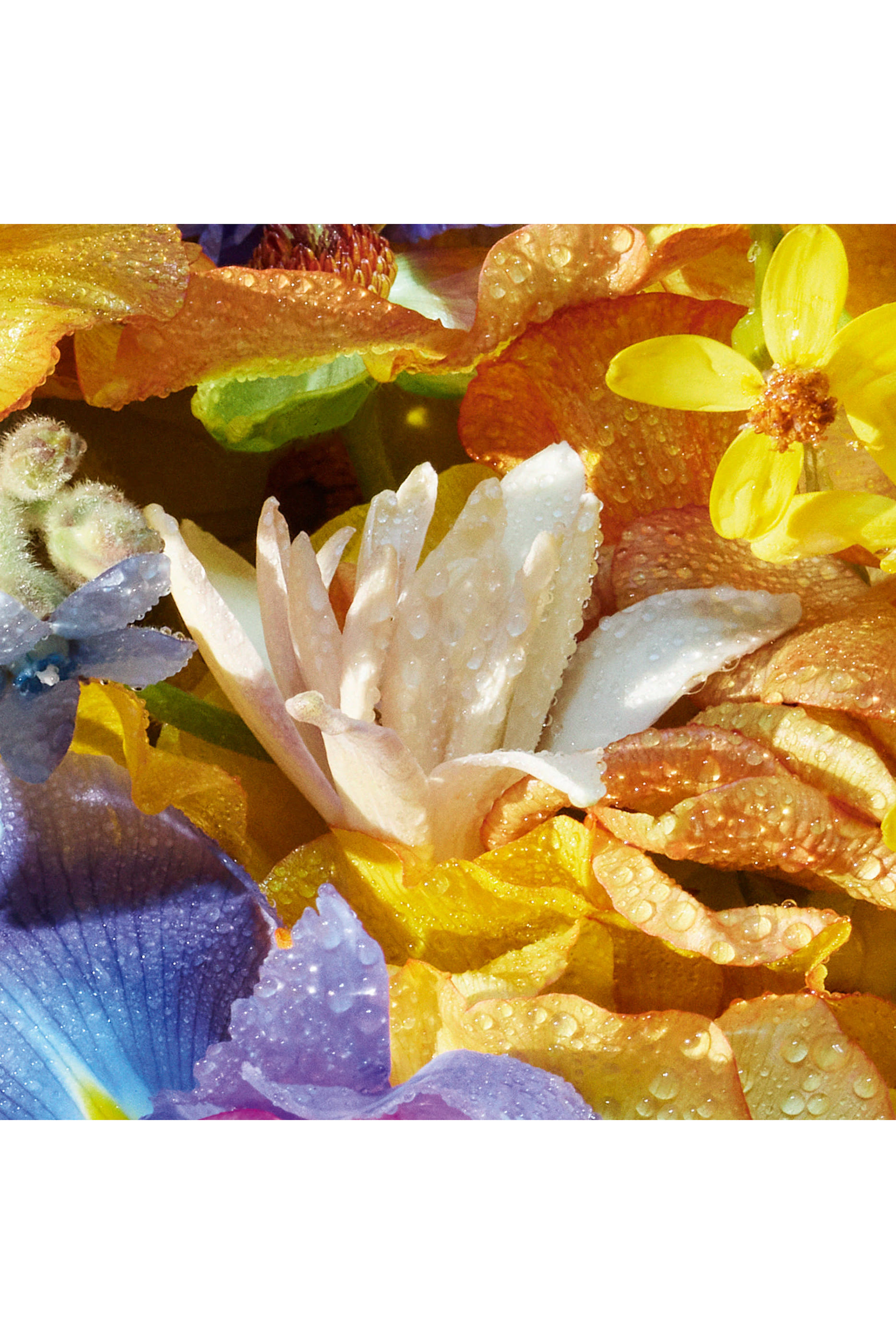 Aqua Allegoria Florabloom Eau de Toilette