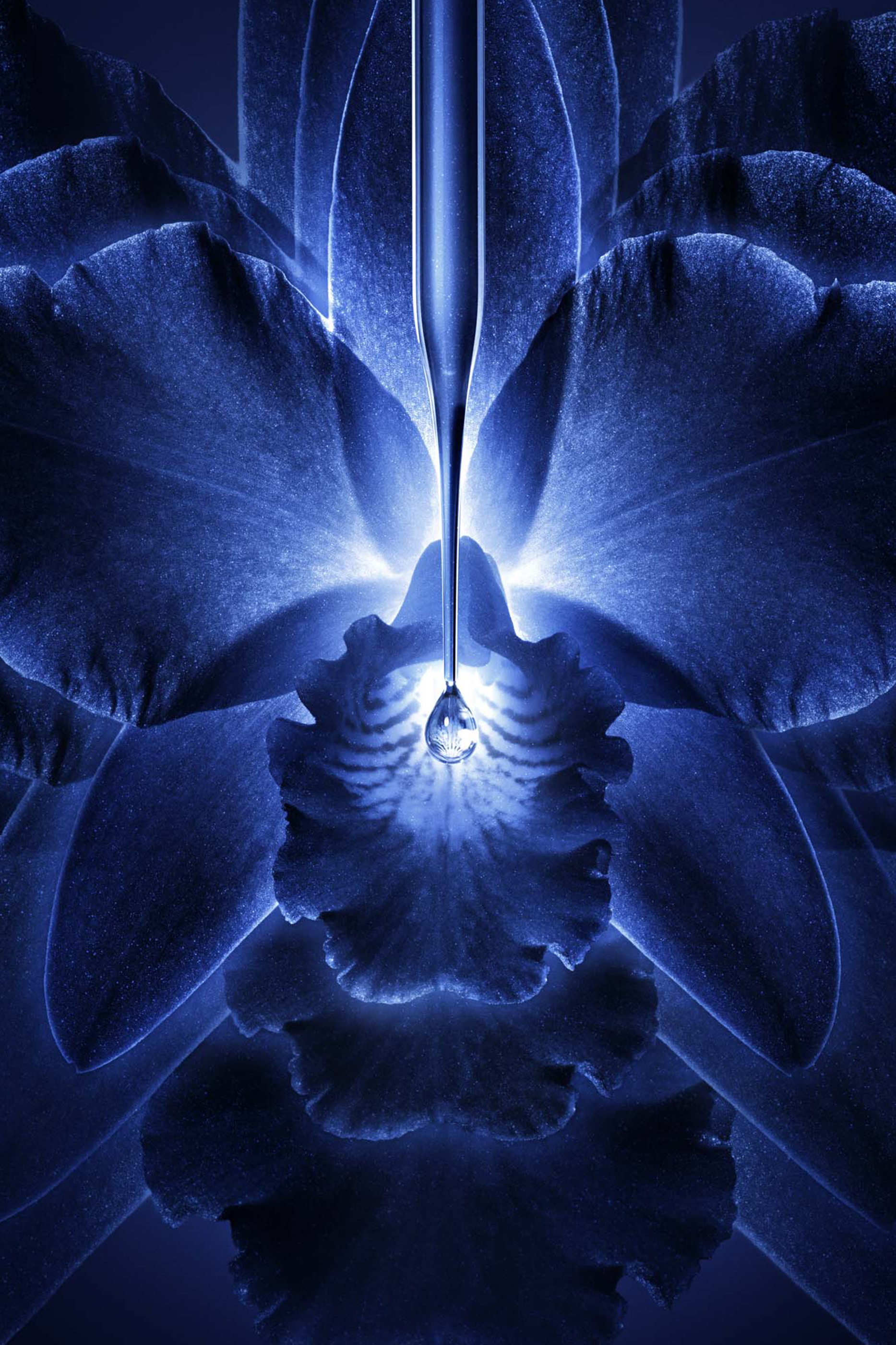 Orchid&eacute;e Imp&eacute;riale Rich Cream Refill