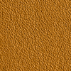 Open Brown