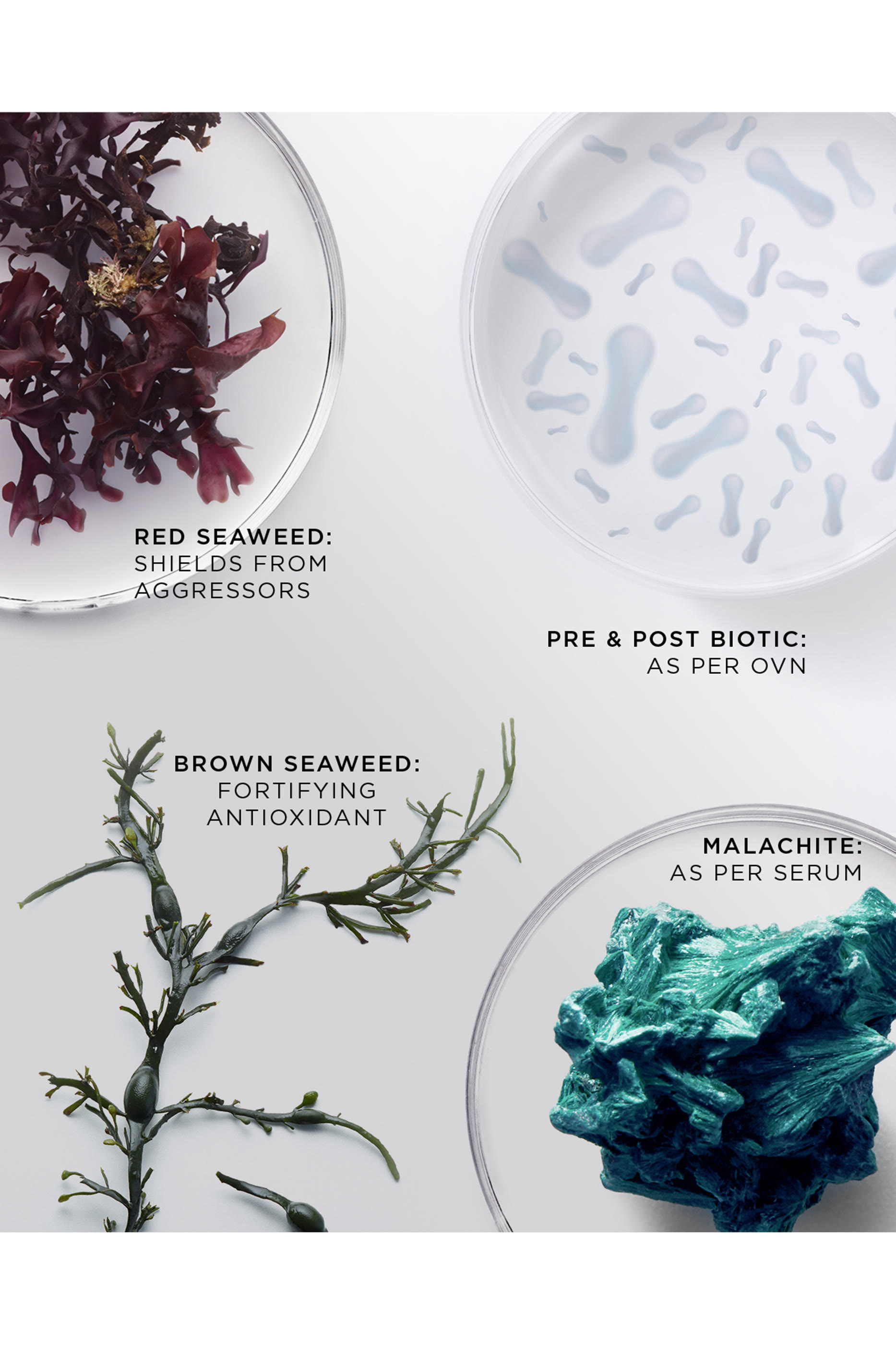 The Brilliant Radiant Resilience Moisturizer Refill