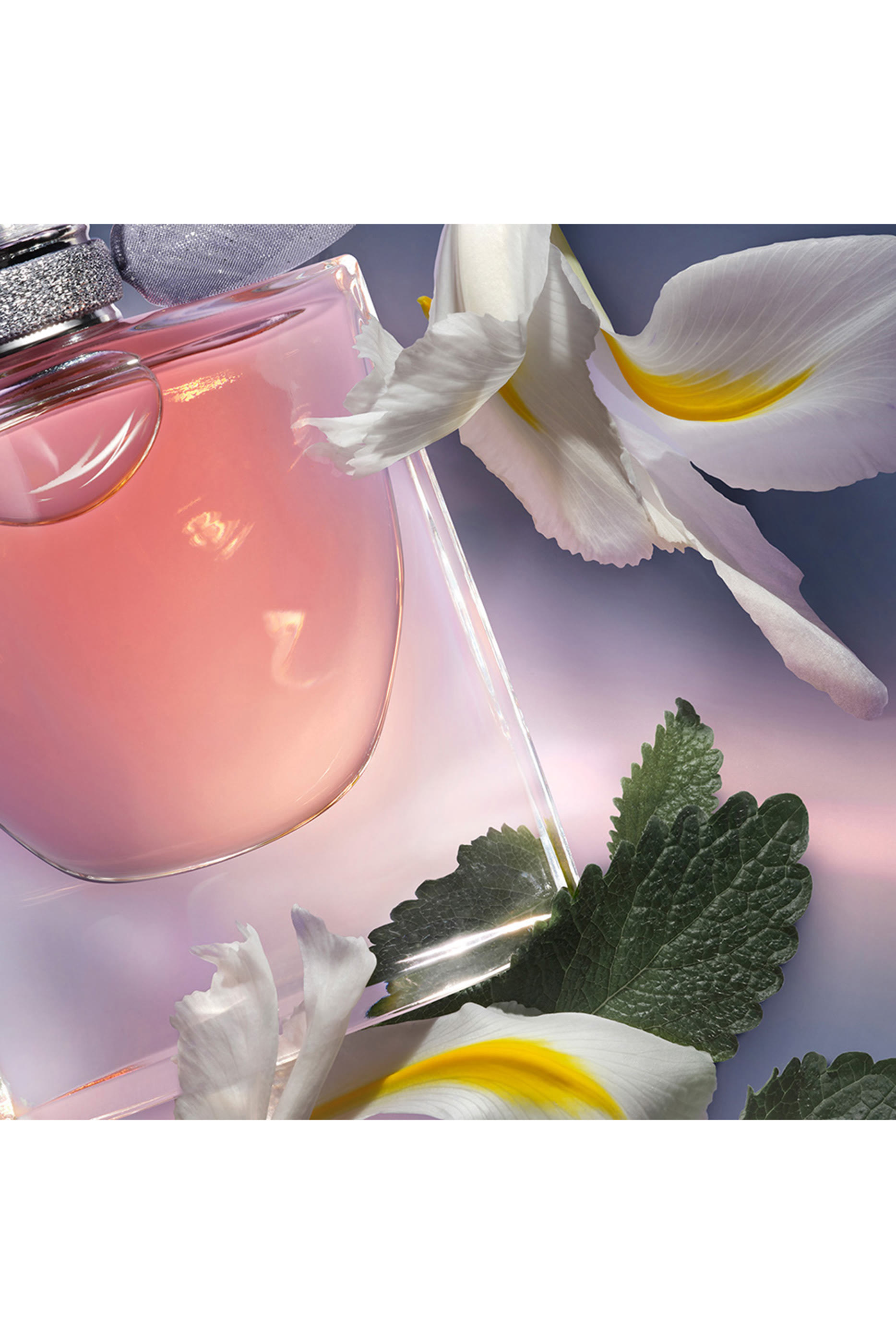 La Vie Est Belle Eau de Parfum