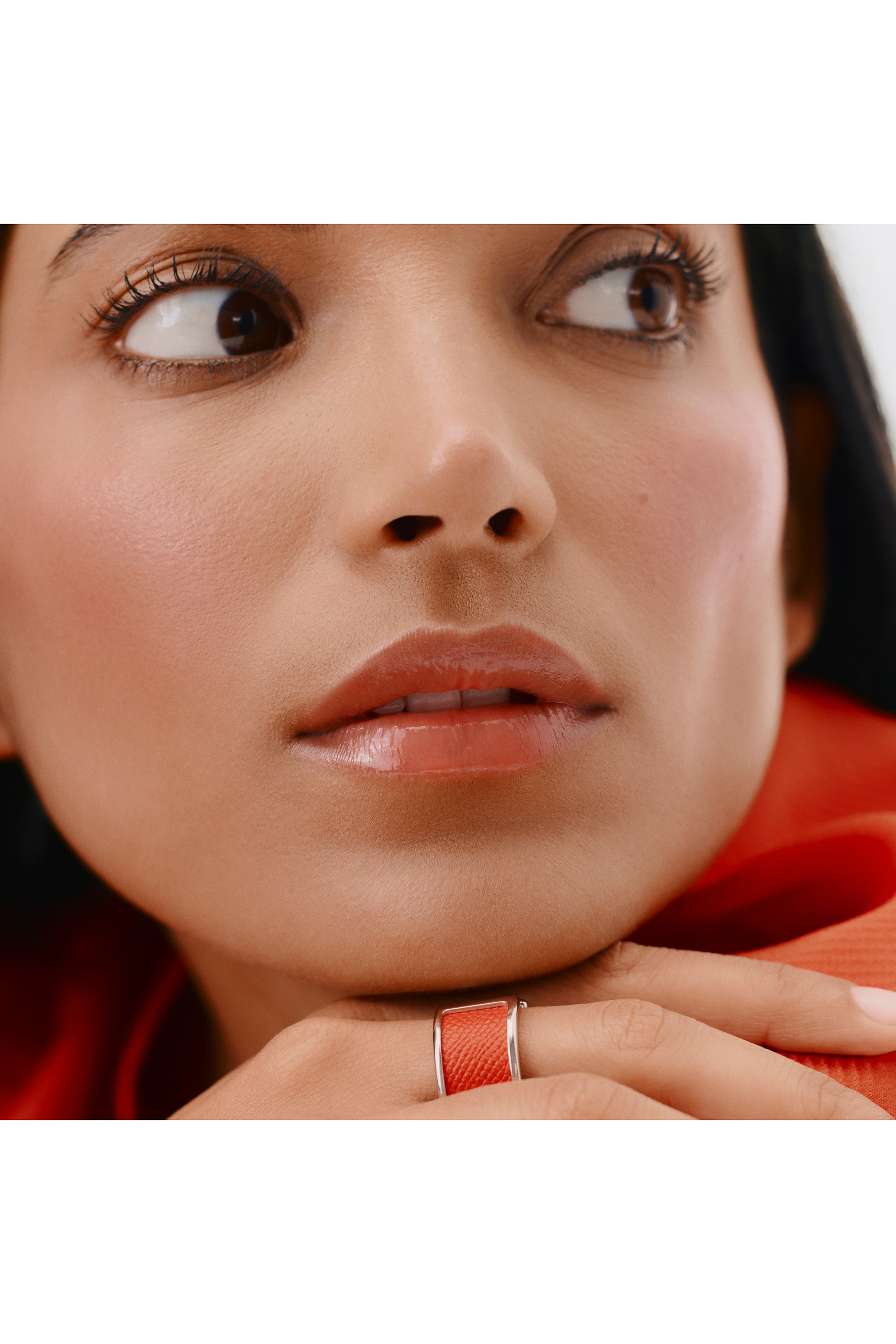 Hermèsistible, Infused Care Lip Oil