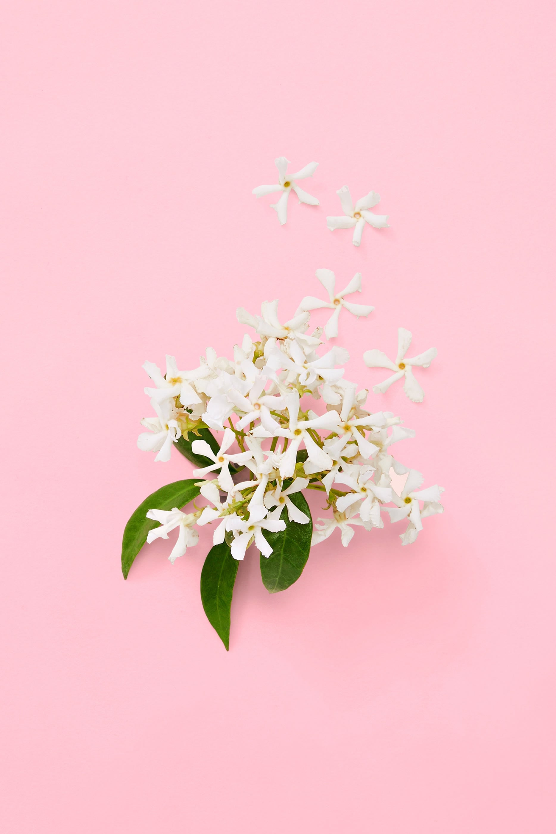 Flora Gorgeous Gardenia Eau de Parfum