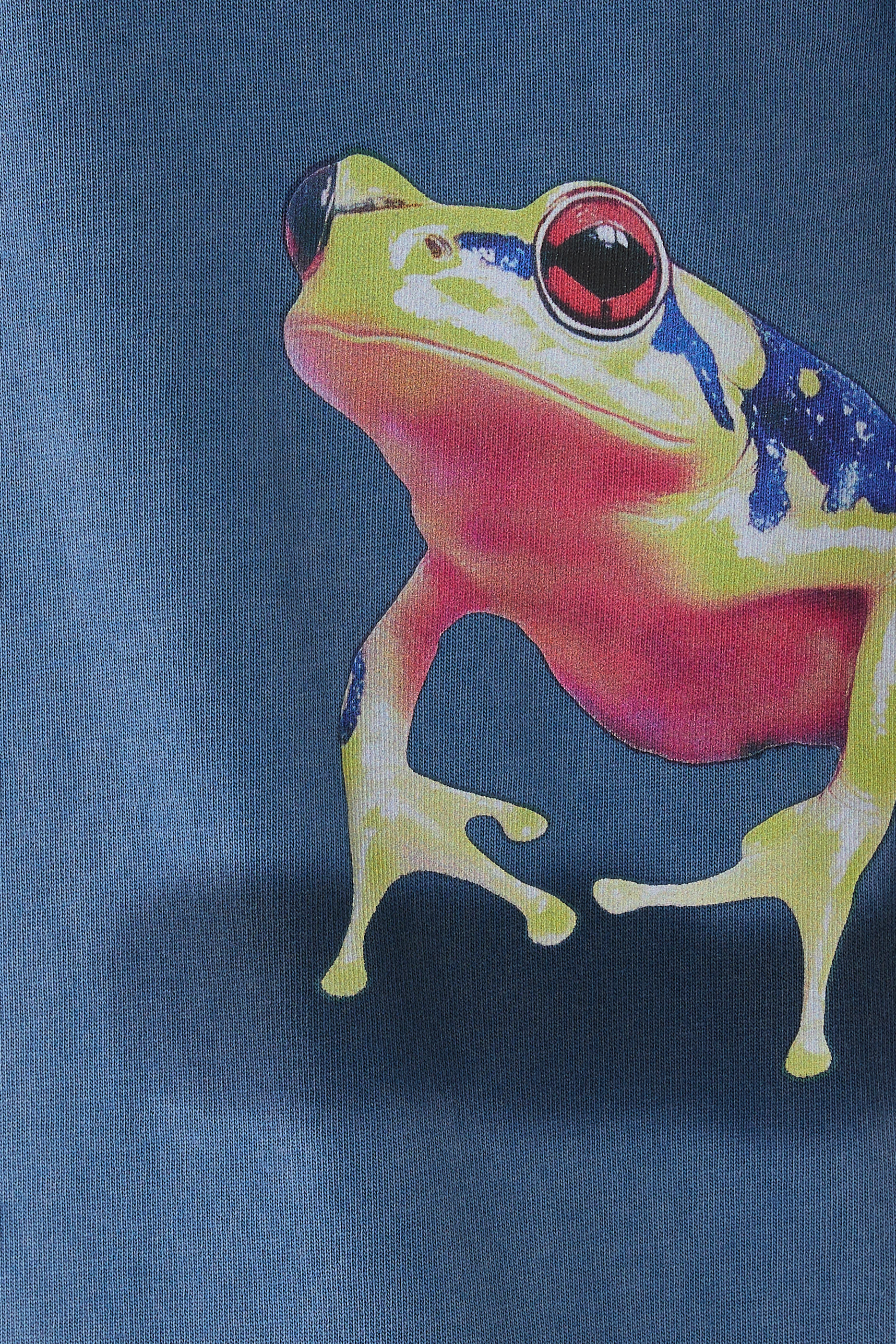 Peeking Frog T-Shirt