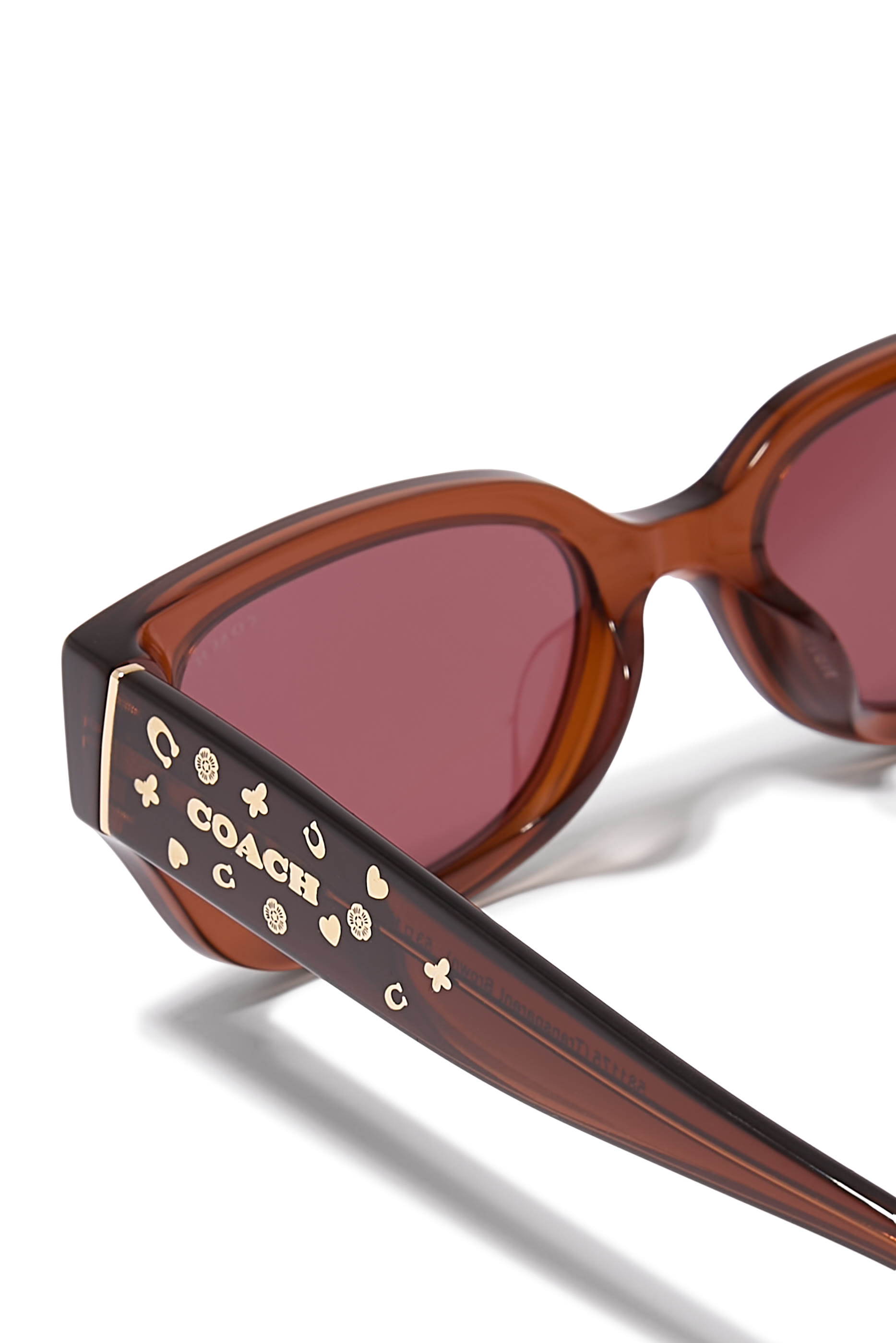 Rectangular Frame Sig Charms Temple Sunglasses