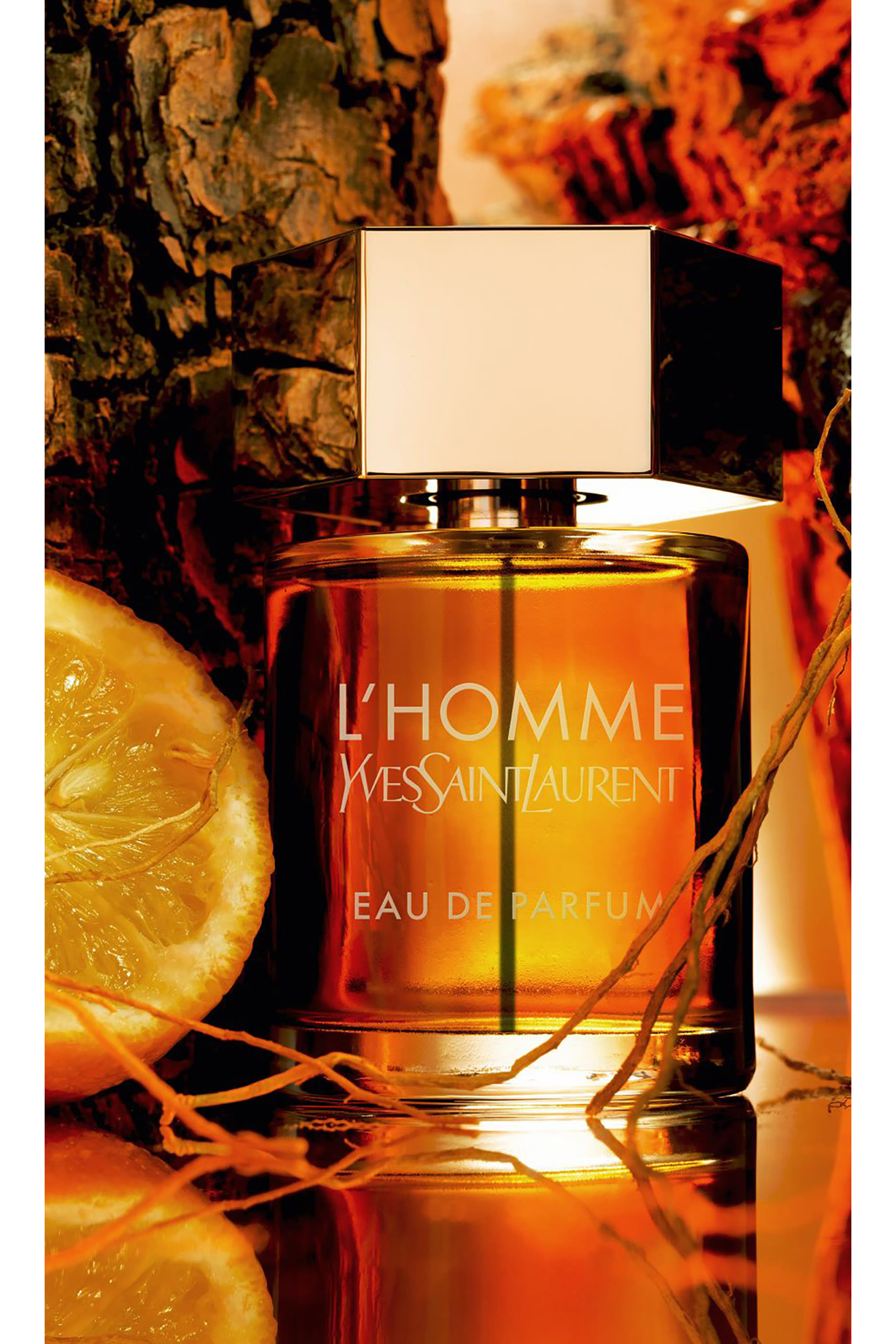 L’Homme Eau De Parfum