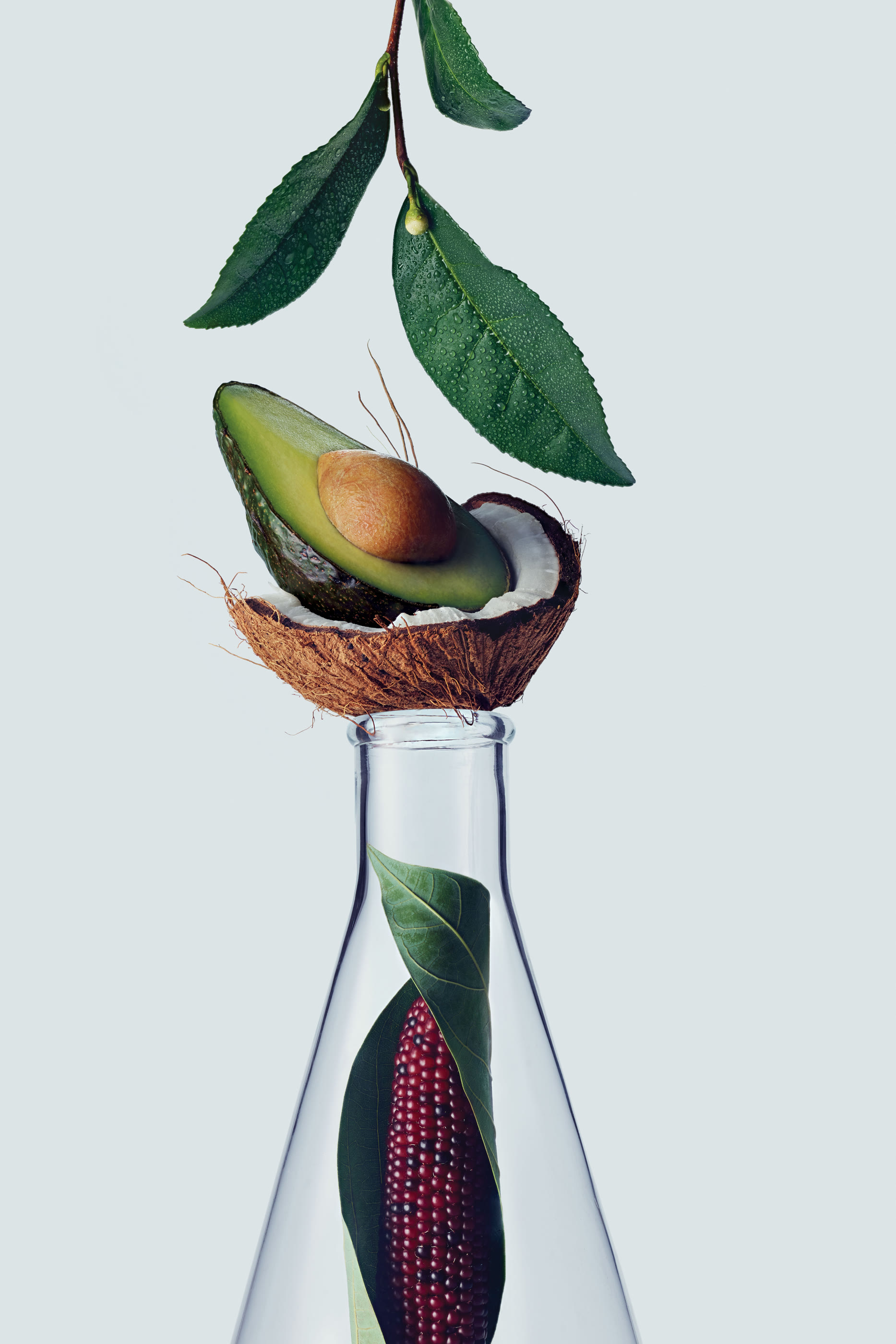 Botanical Repair™ Strengthening Shampoo
