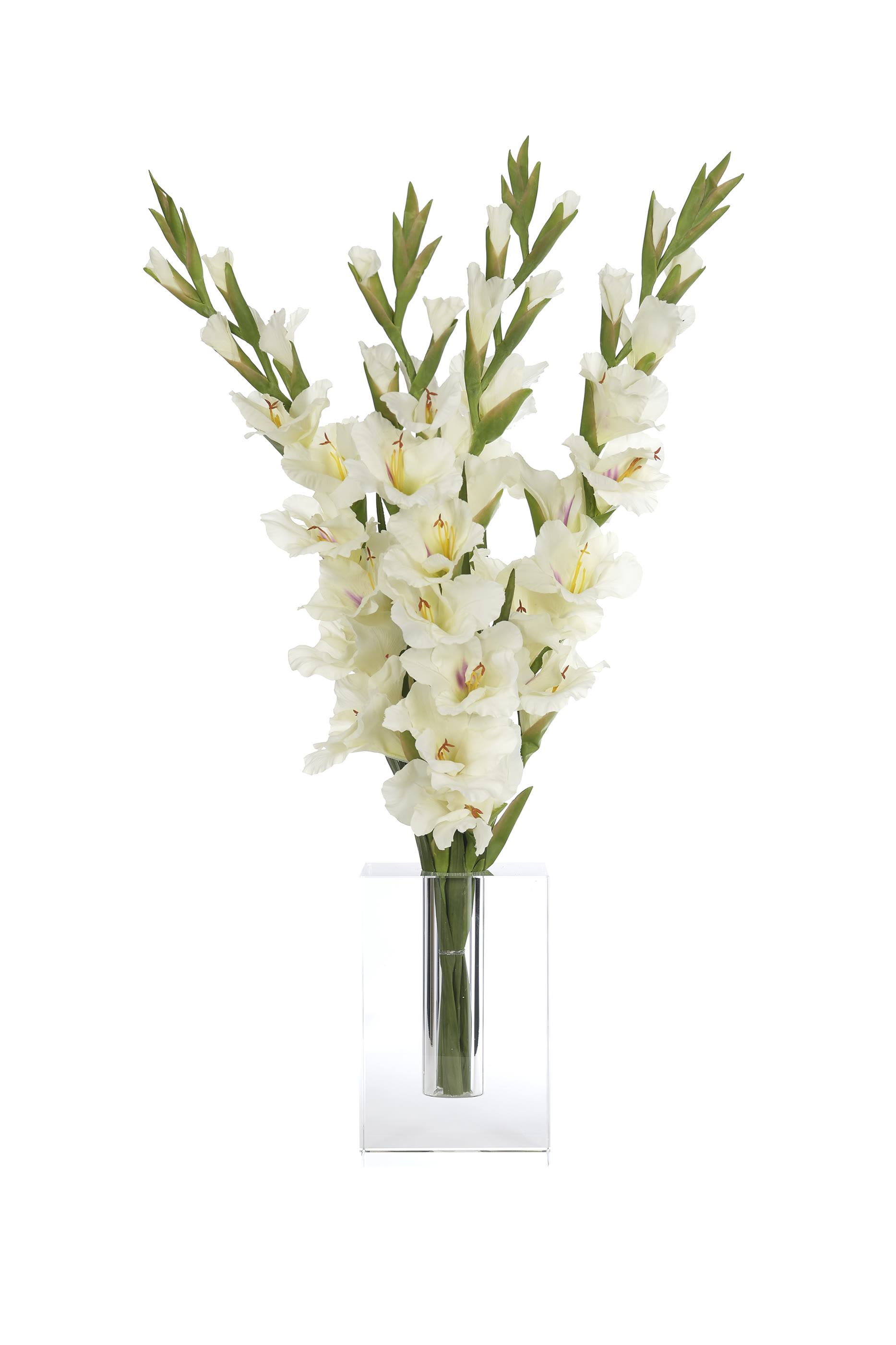 Gladiola in Glass Vase