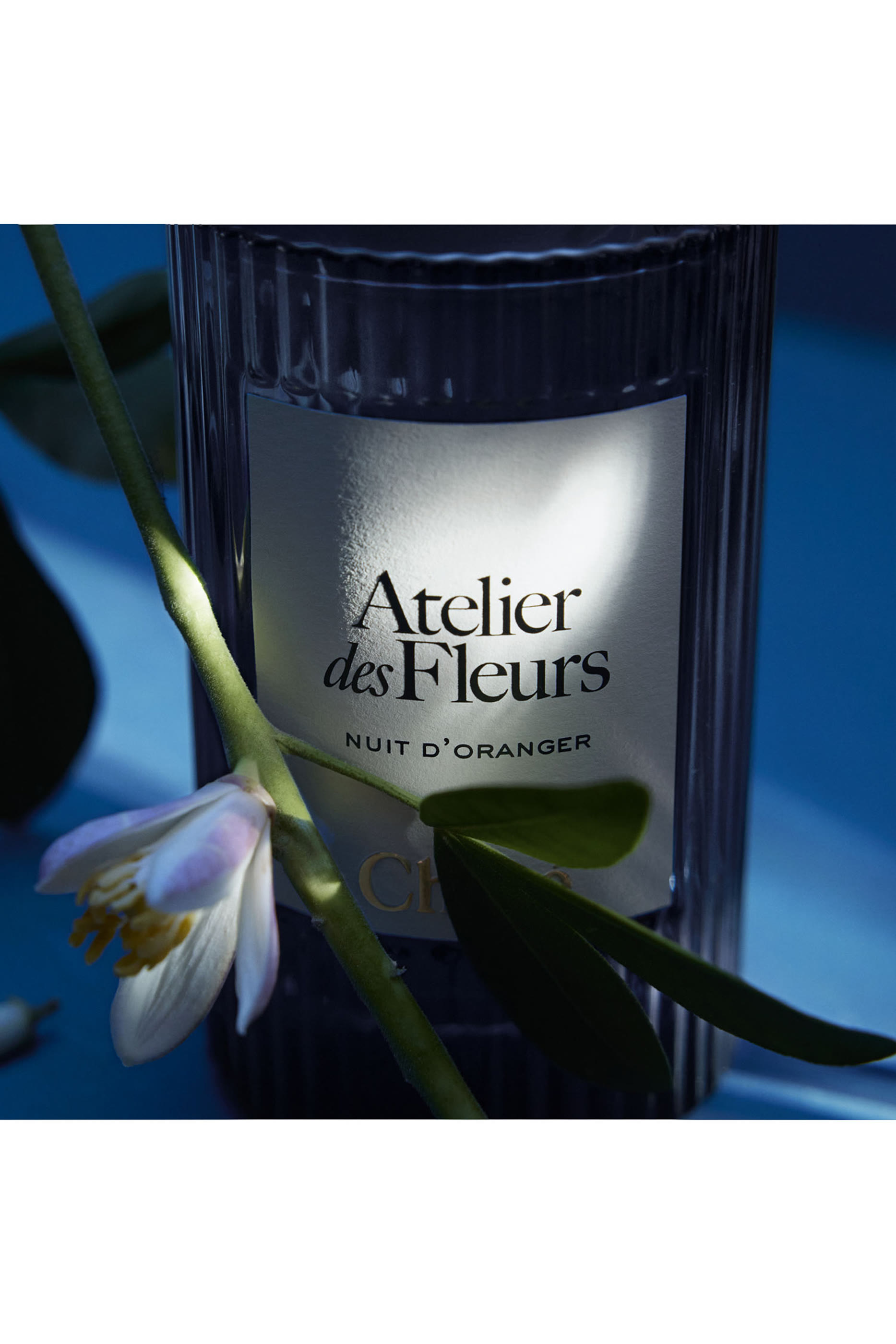 Atelier Des Fleurs Nuit D&rsquo;oranger