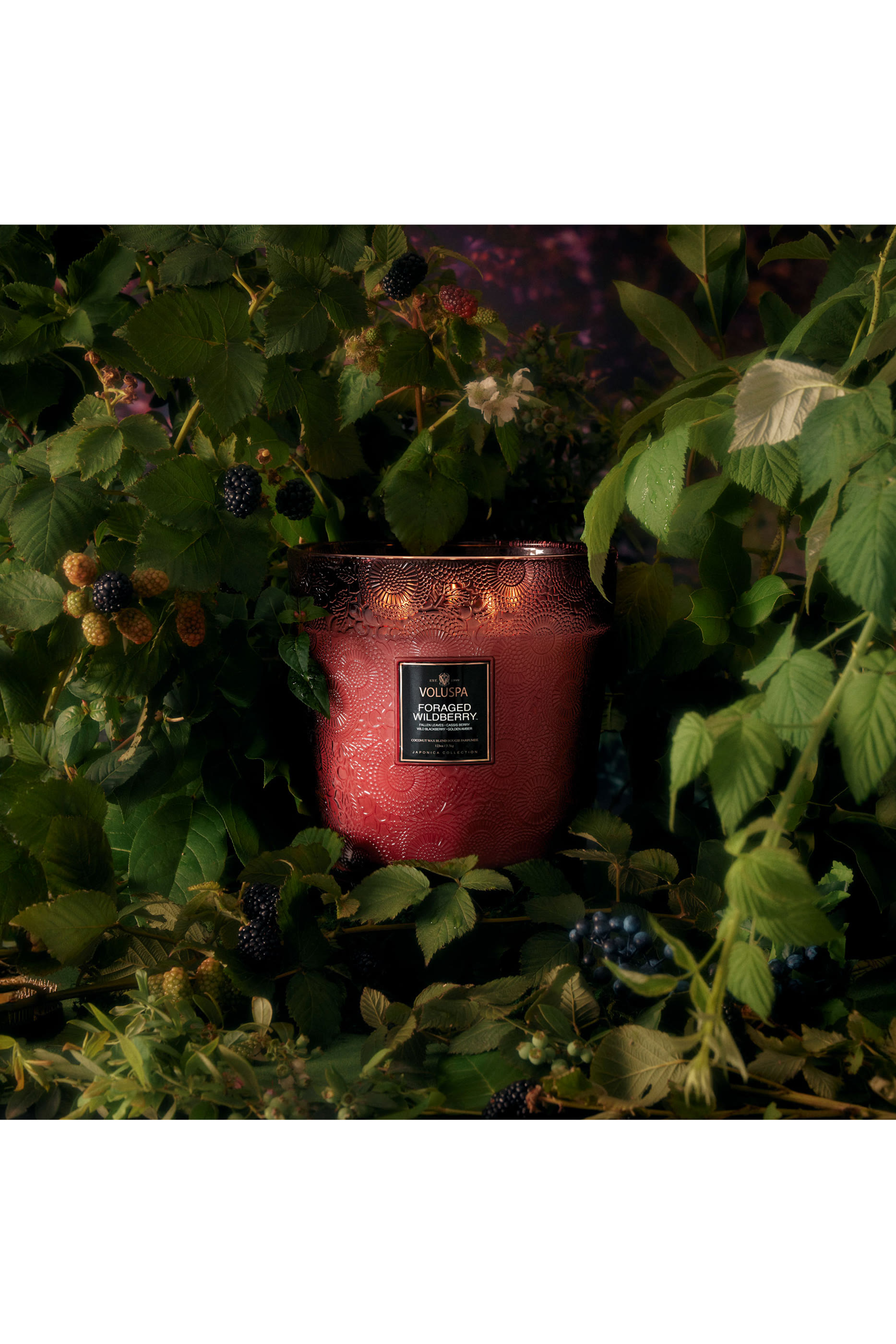 Foraged Wildberry 5 Wick Hearth Candle