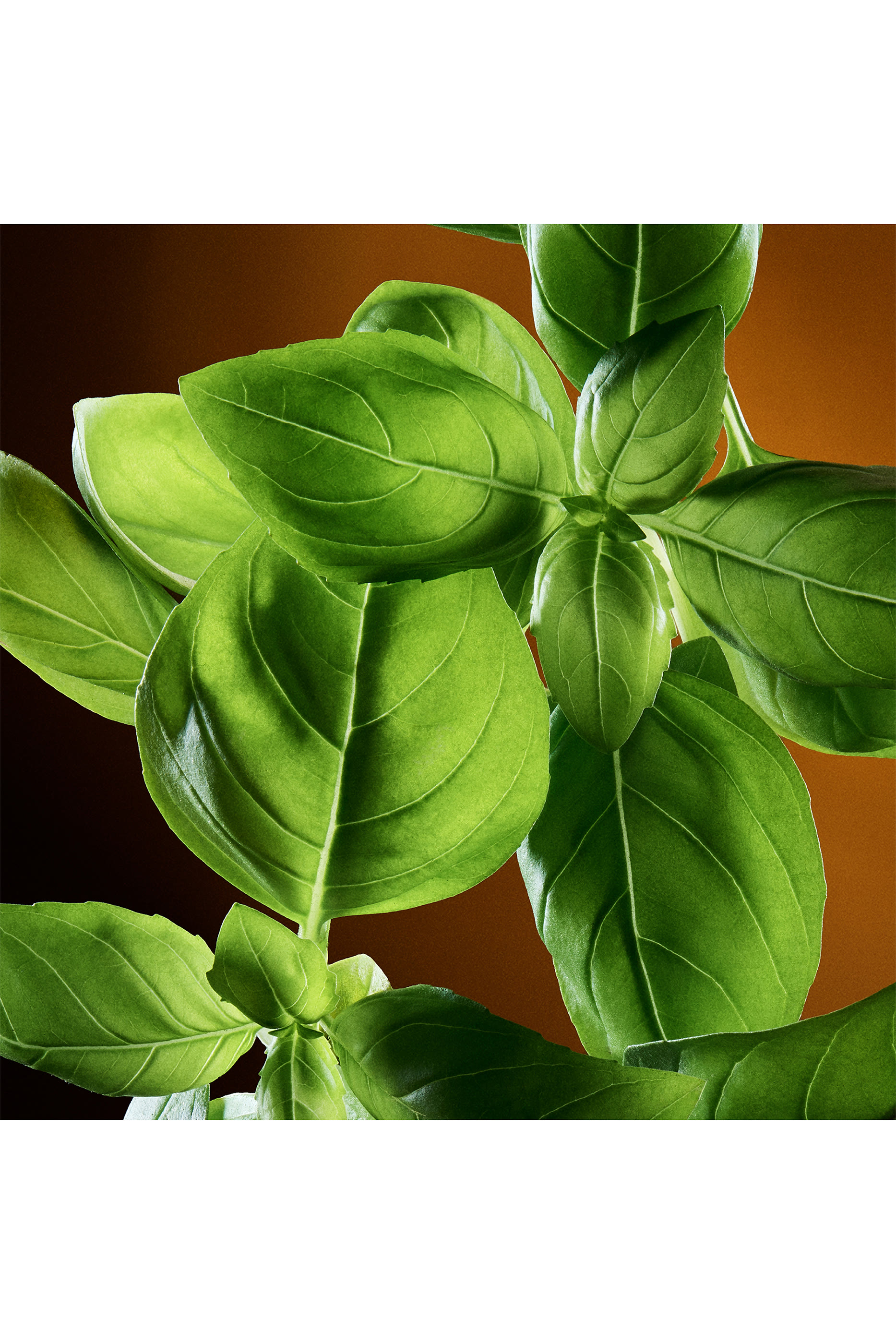 The One Pour Homme Eau de Toilette