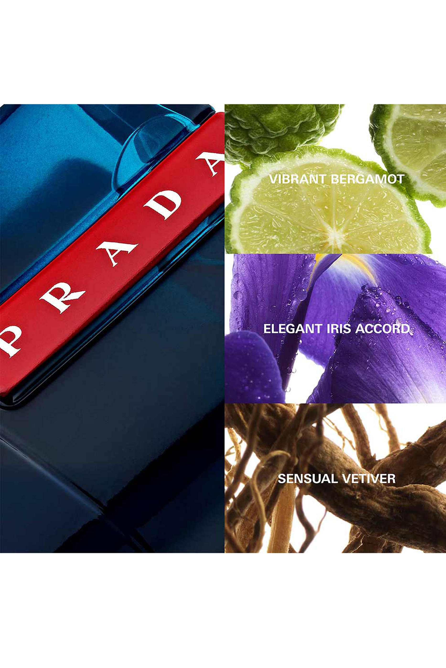 Luna Rossa Ocean Eau de Toilette