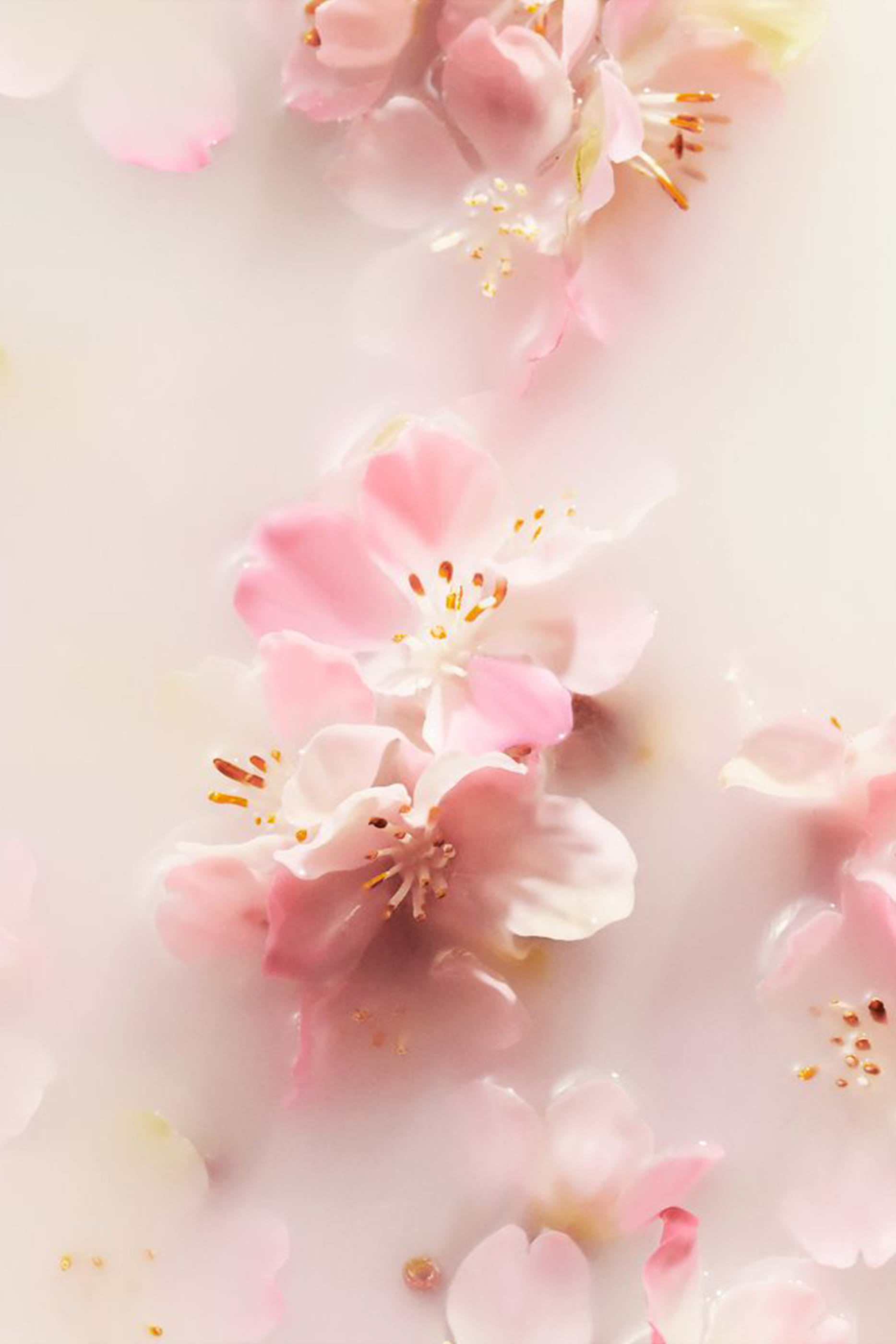 The Ritual of Sakura Parfum d'Interieur