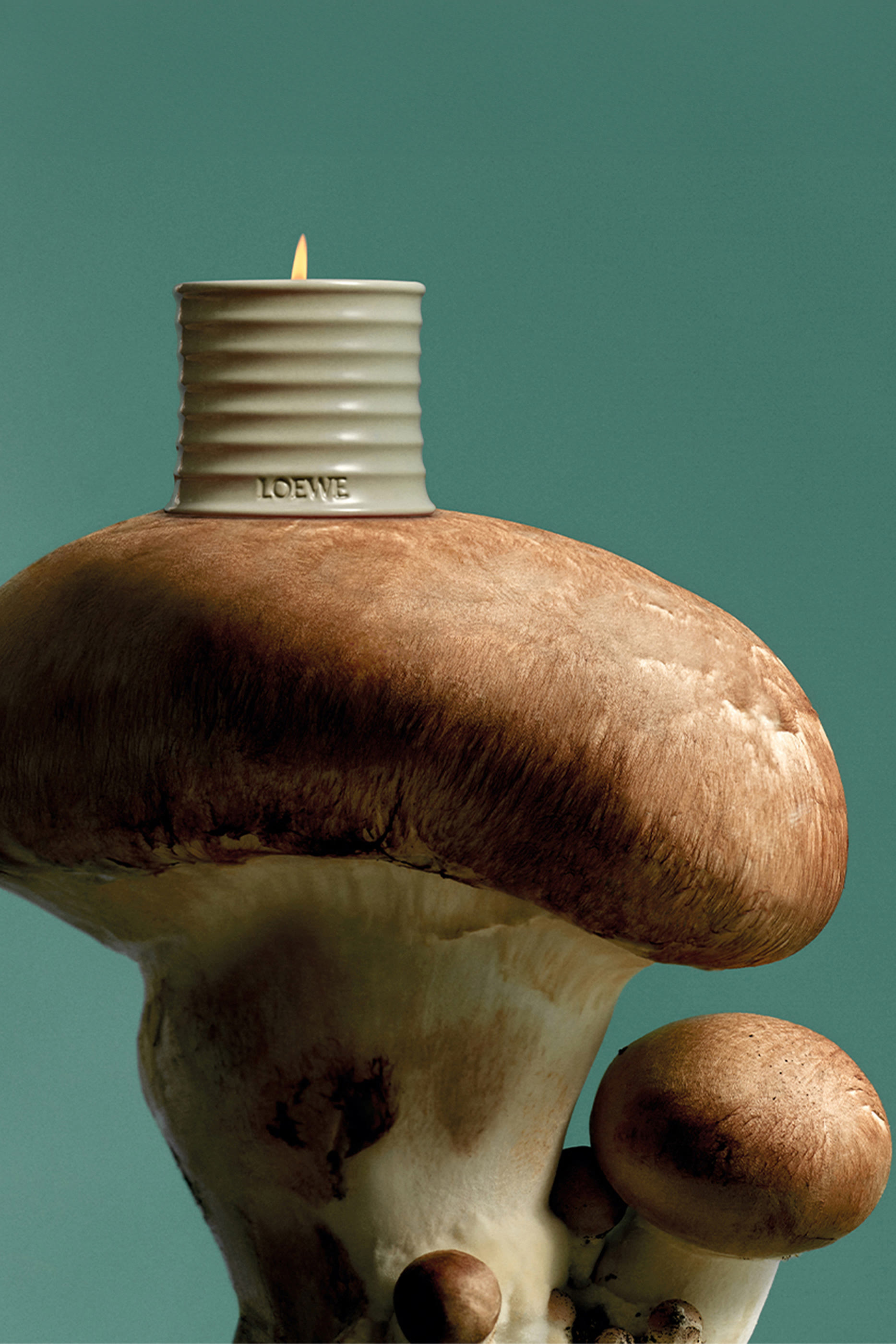 Mushroom Room Spray