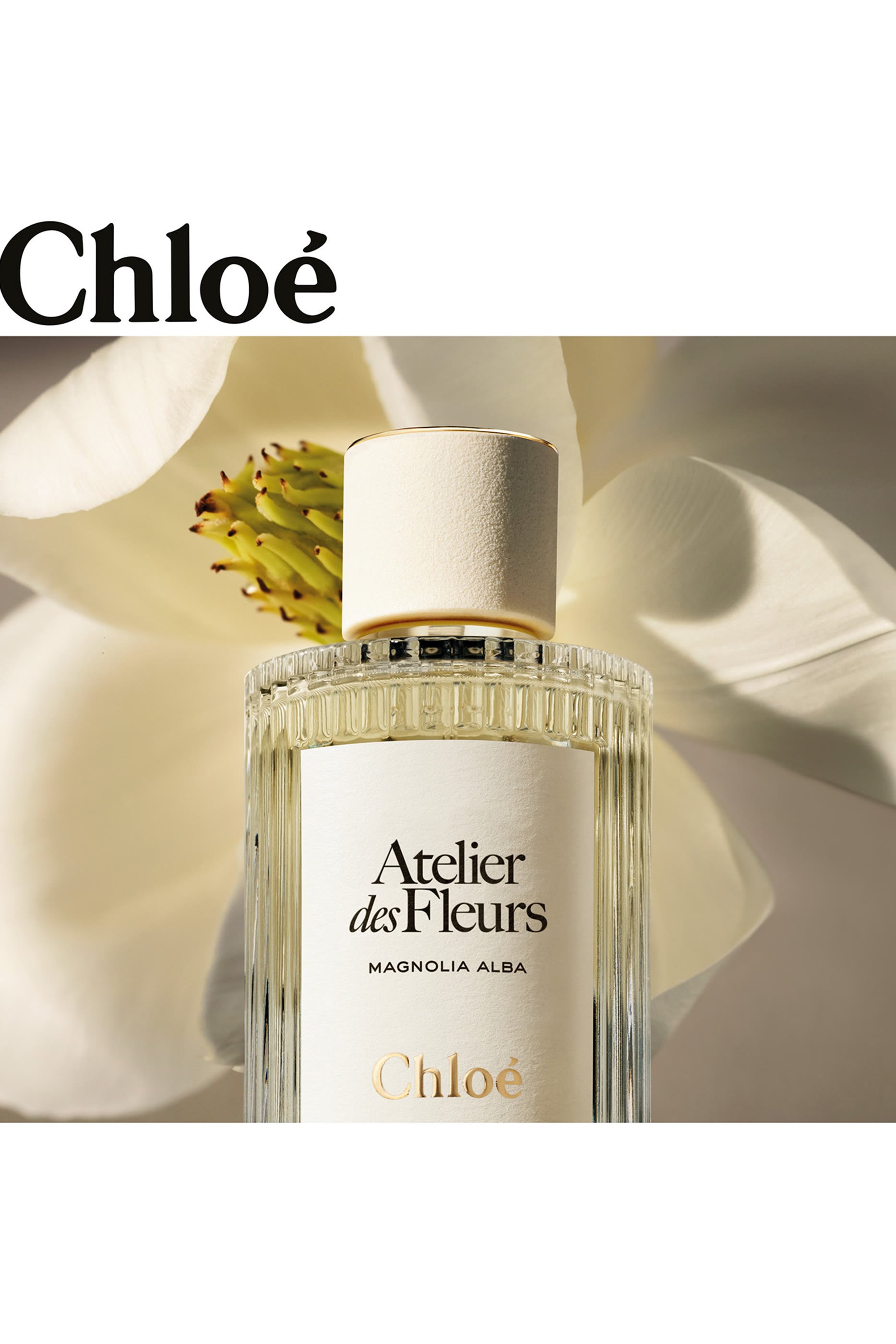 Atelier des Fleurs Magnolia Alba Perfumed Hand Cream