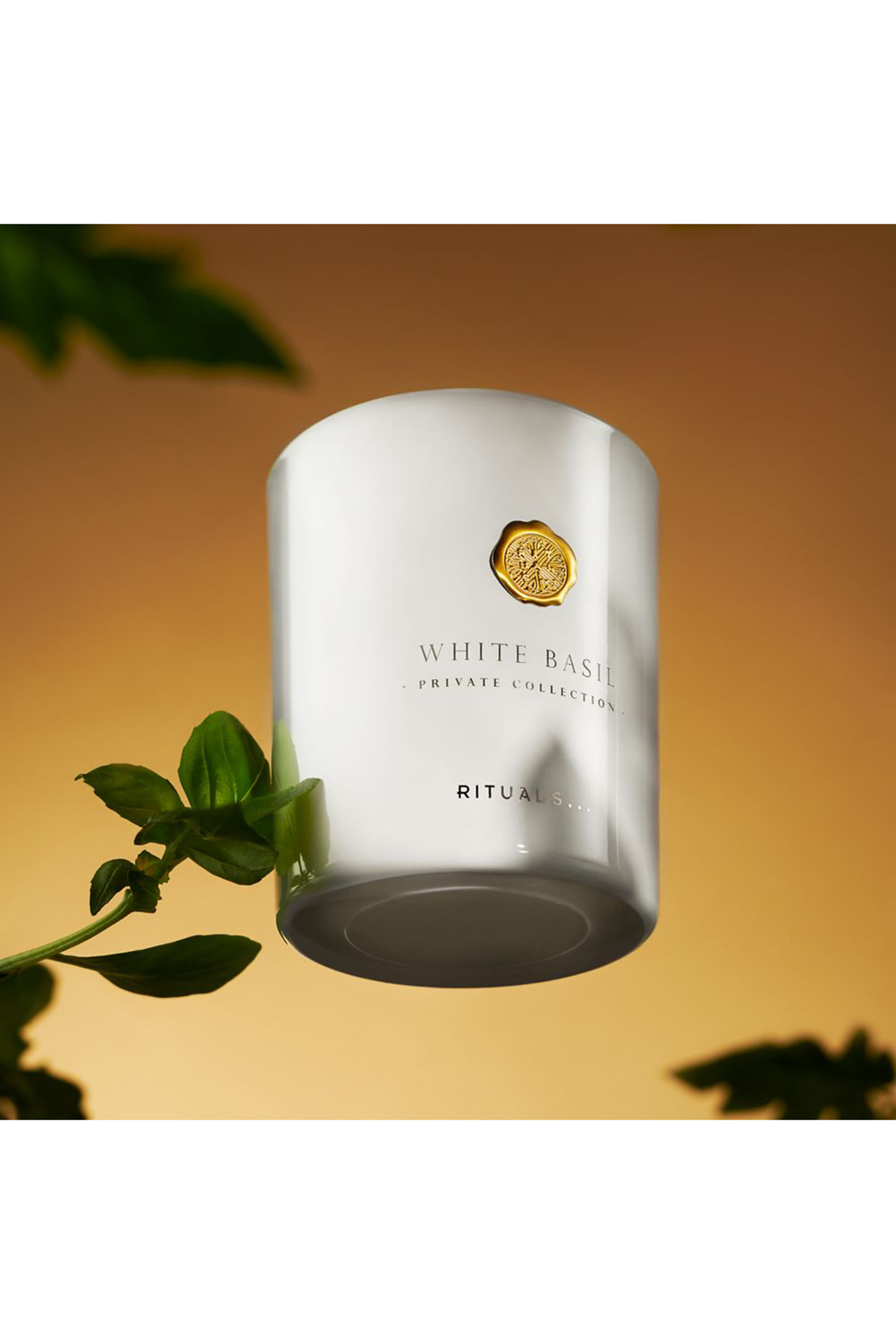 شمعة معطرة وايت بازيل