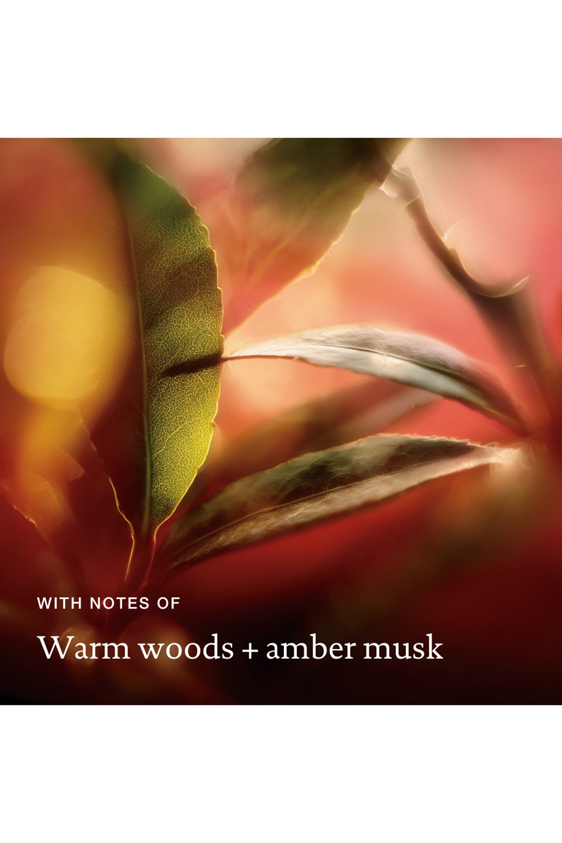 Velvet Amber Advanced Clean Dry Shampoo