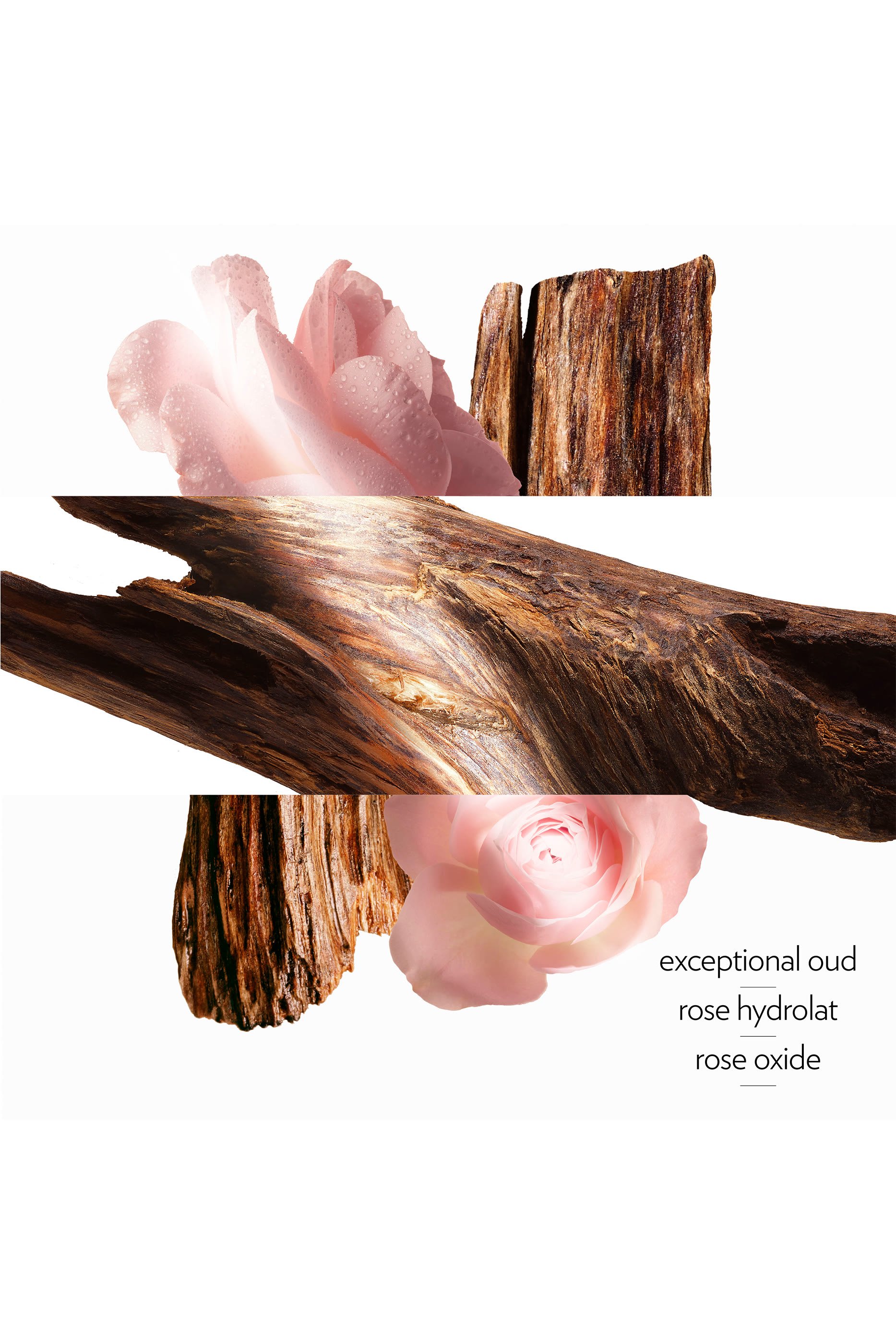 Oud Alezan, Perfumed Body Cream