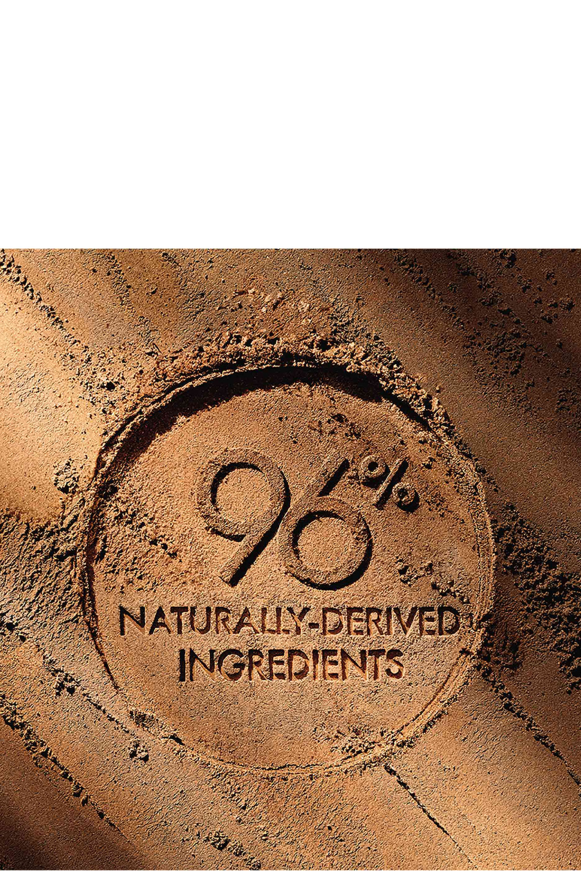 Terracota The Bronzing Powder