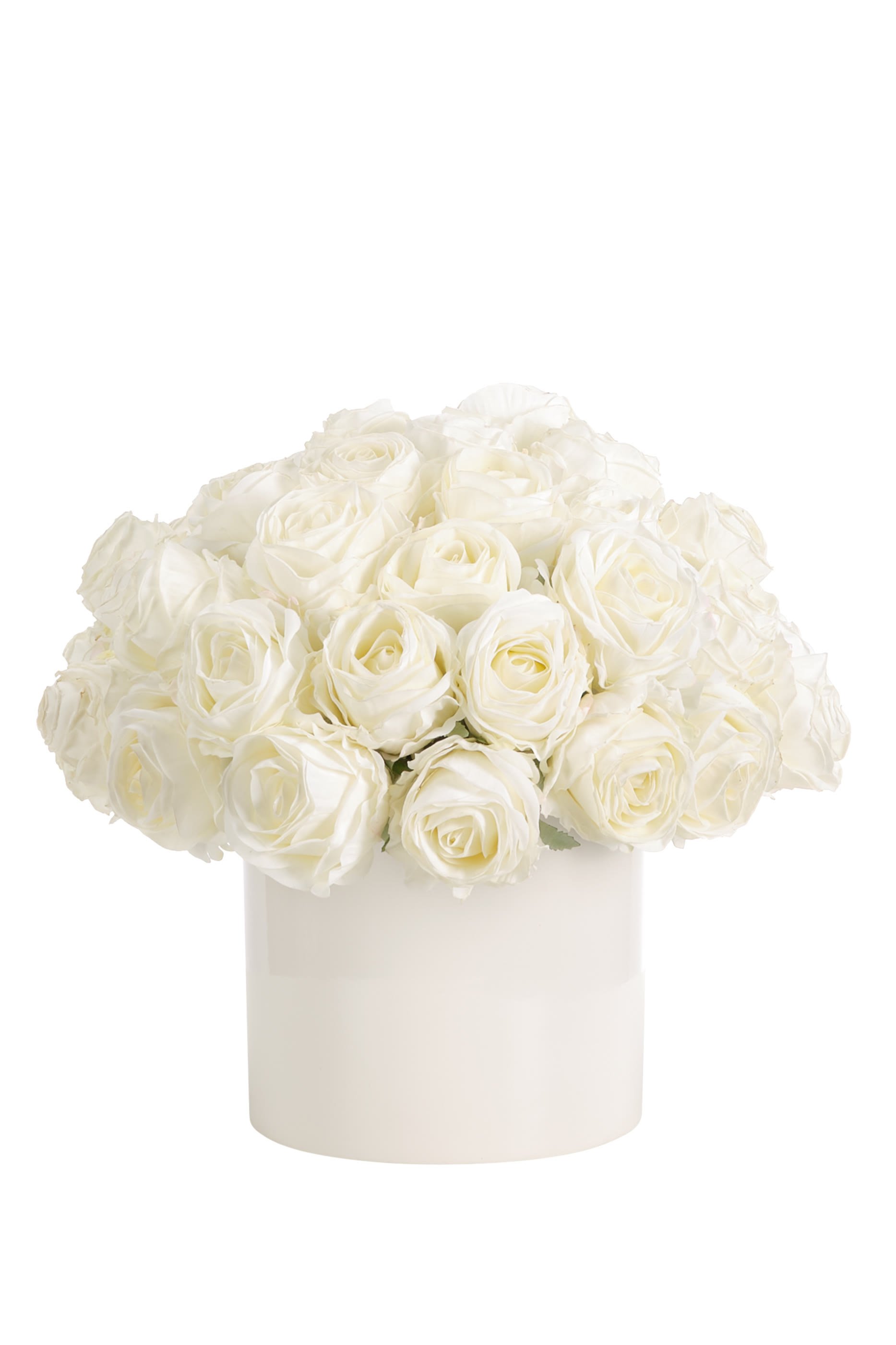 Roses in Ceramic Pot