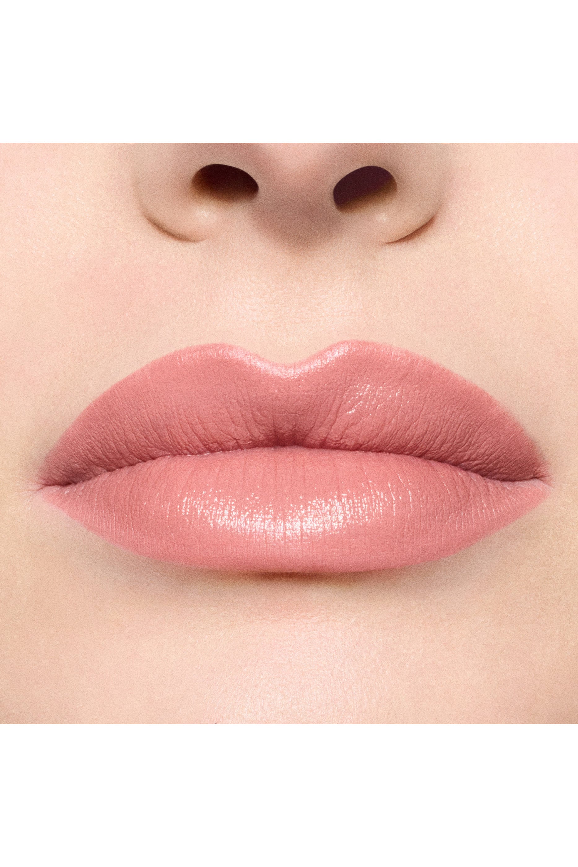 Teddy Love Lip Combo 