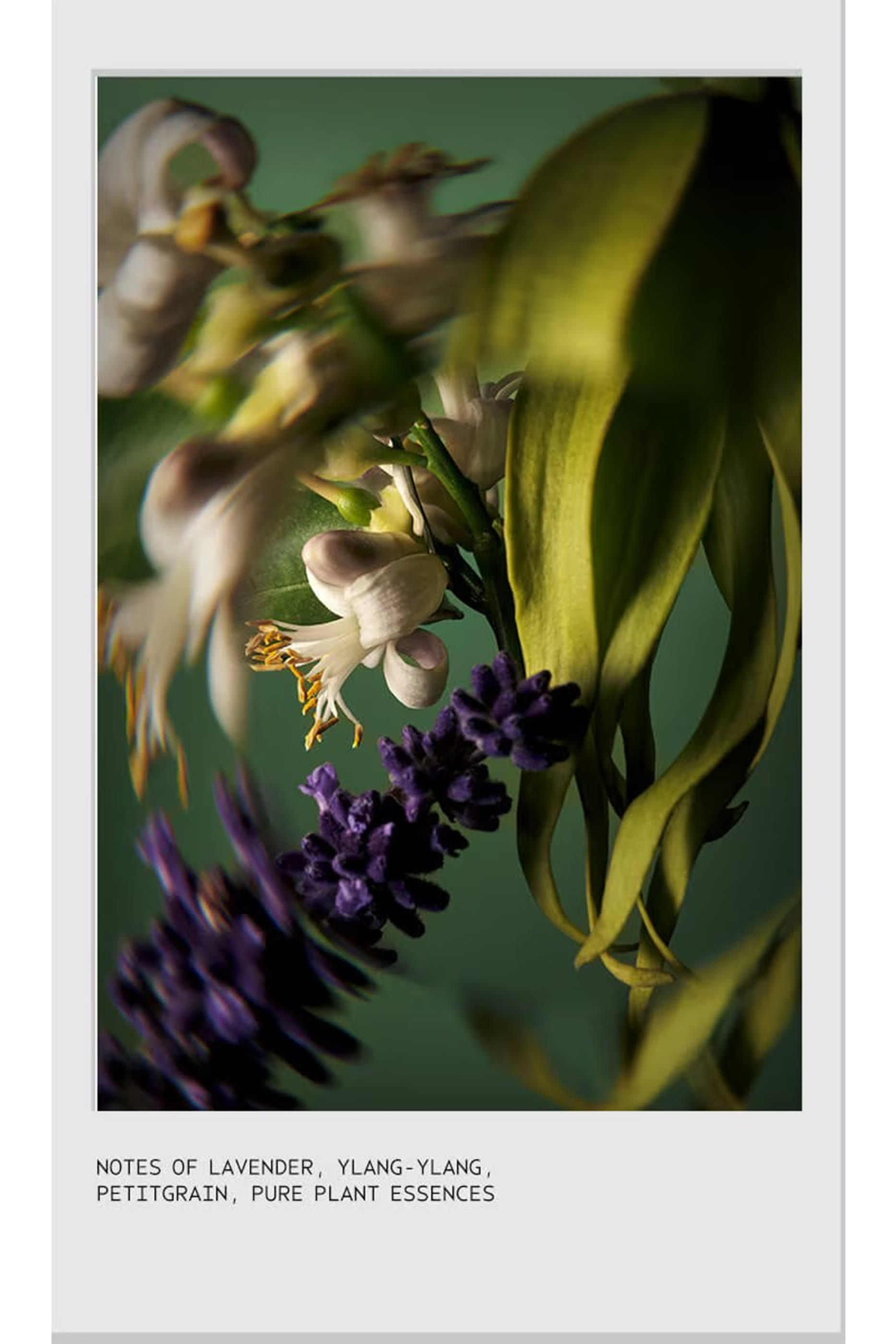 Miraculous Oil High-Shine Hair Concentrate