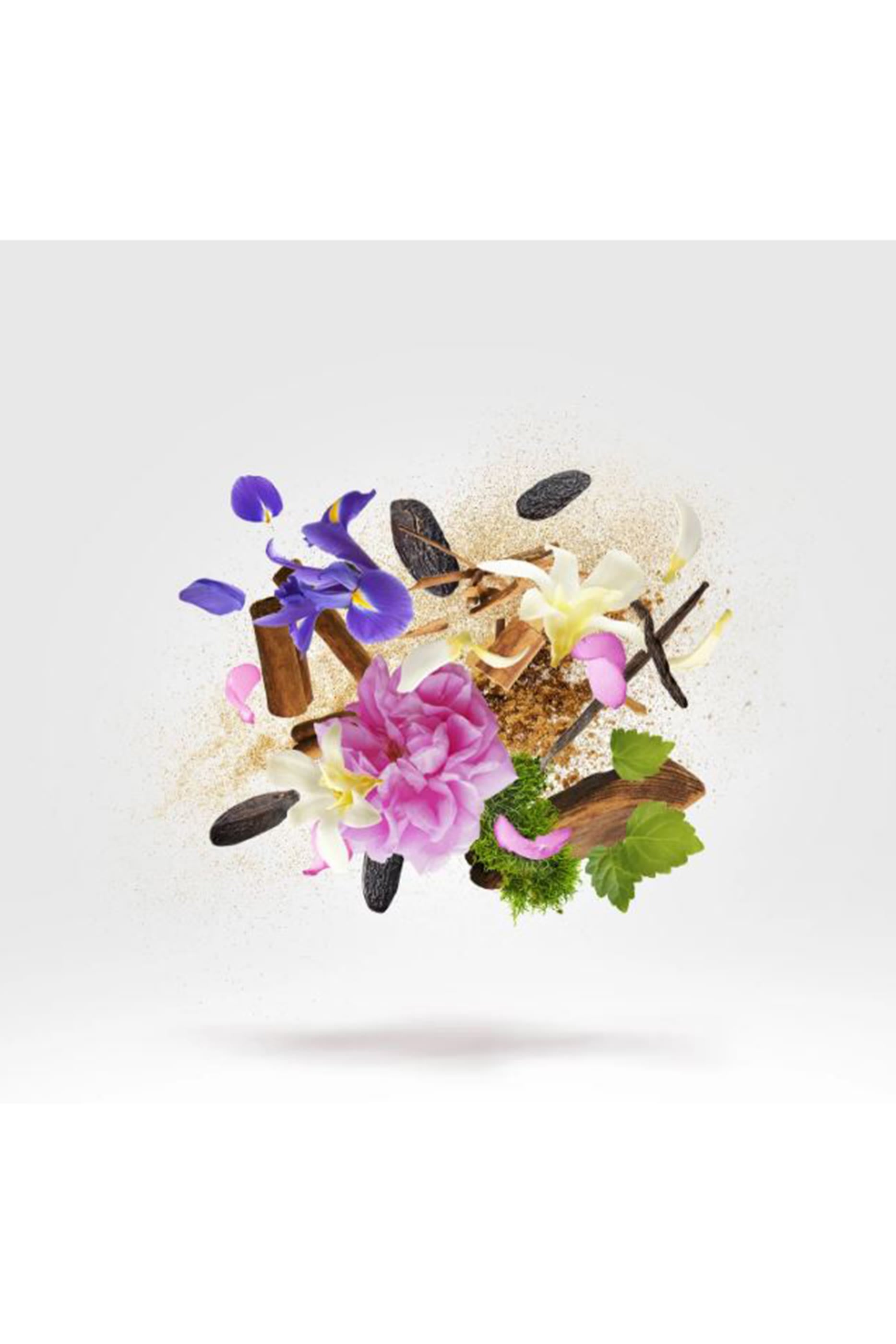 عطر شوتينغ ستارز جيبون