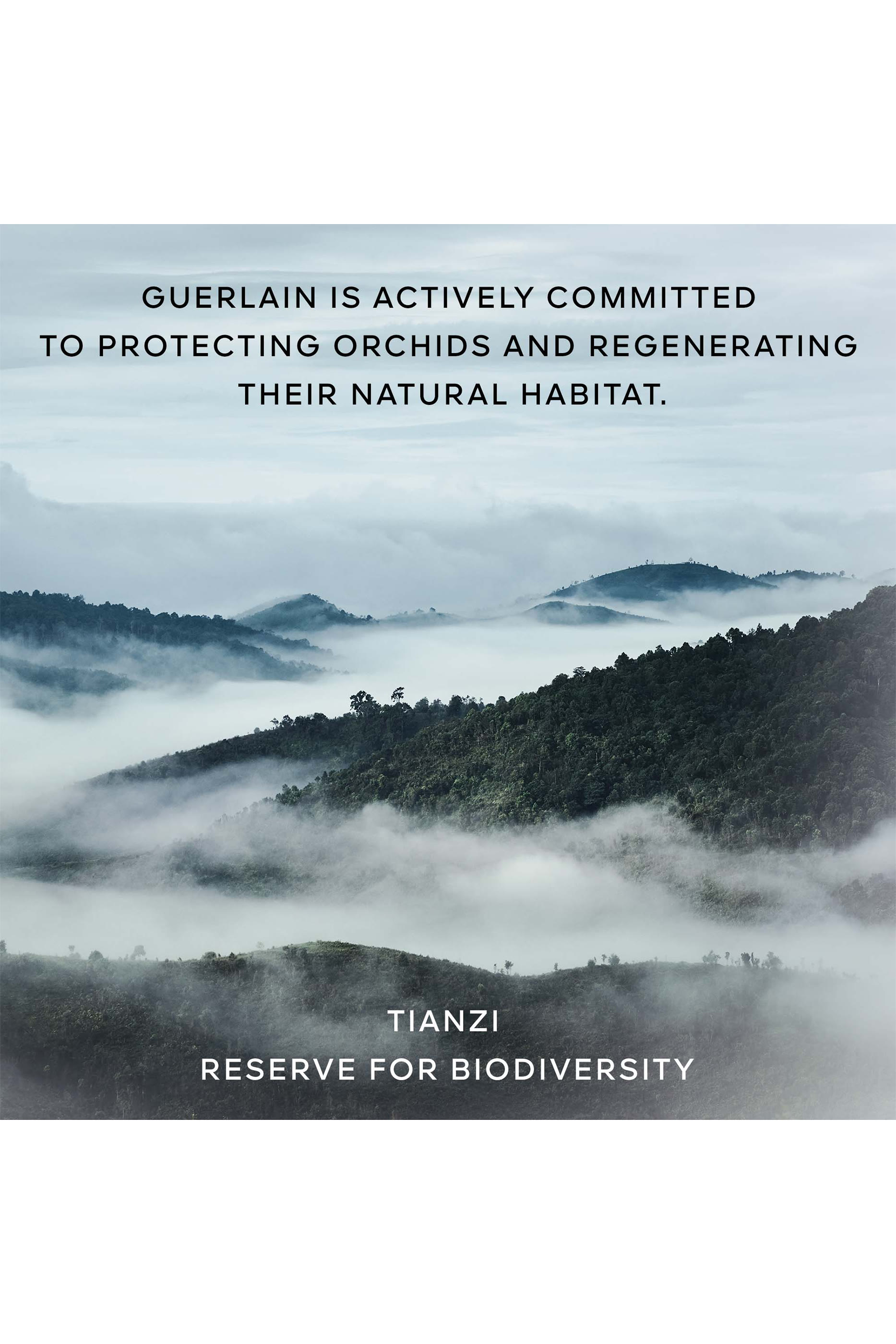 Orchid&eacute;e Imp&eacute;riale The Oil in Gel