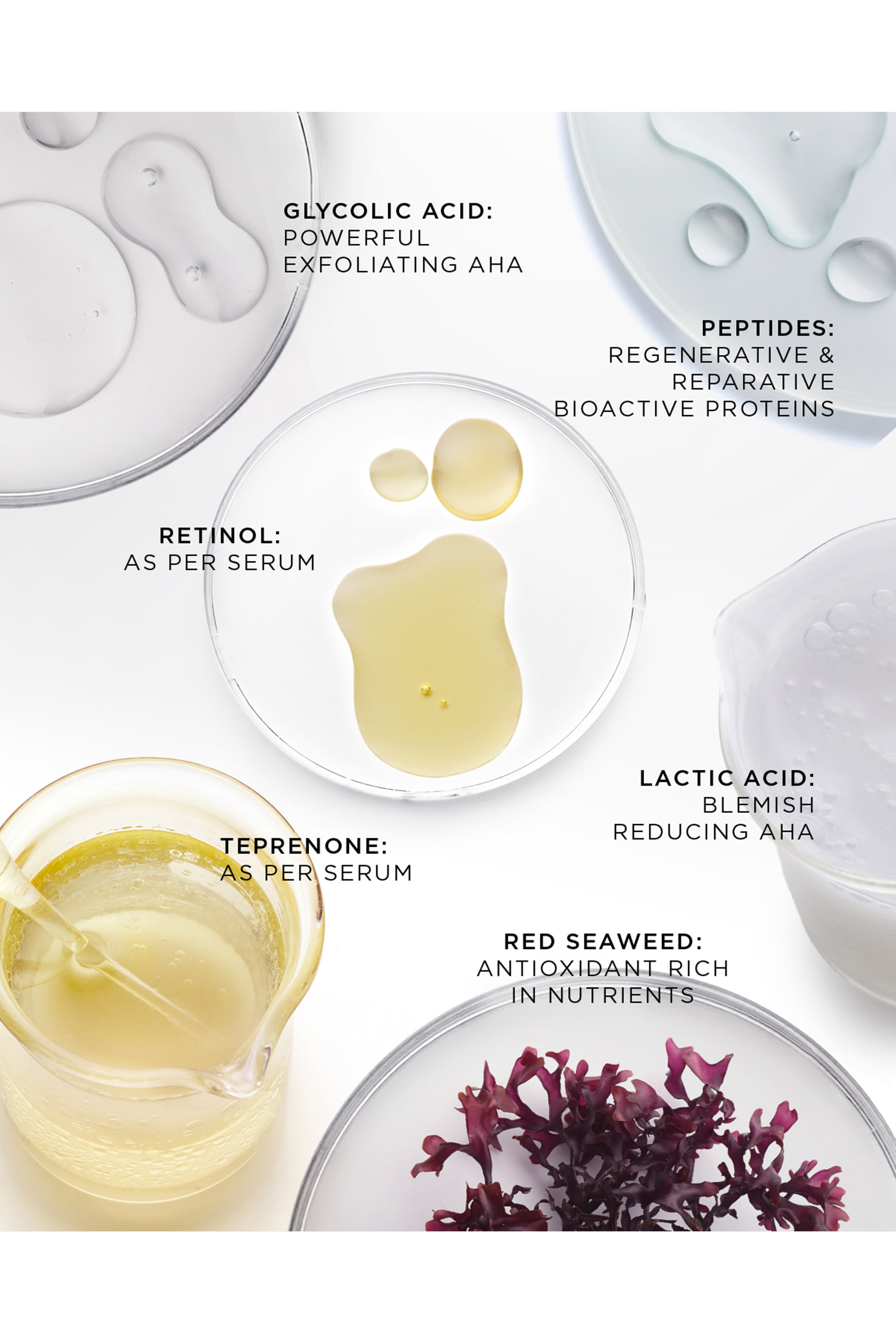 The Absolute Rejuvenation Night Balm