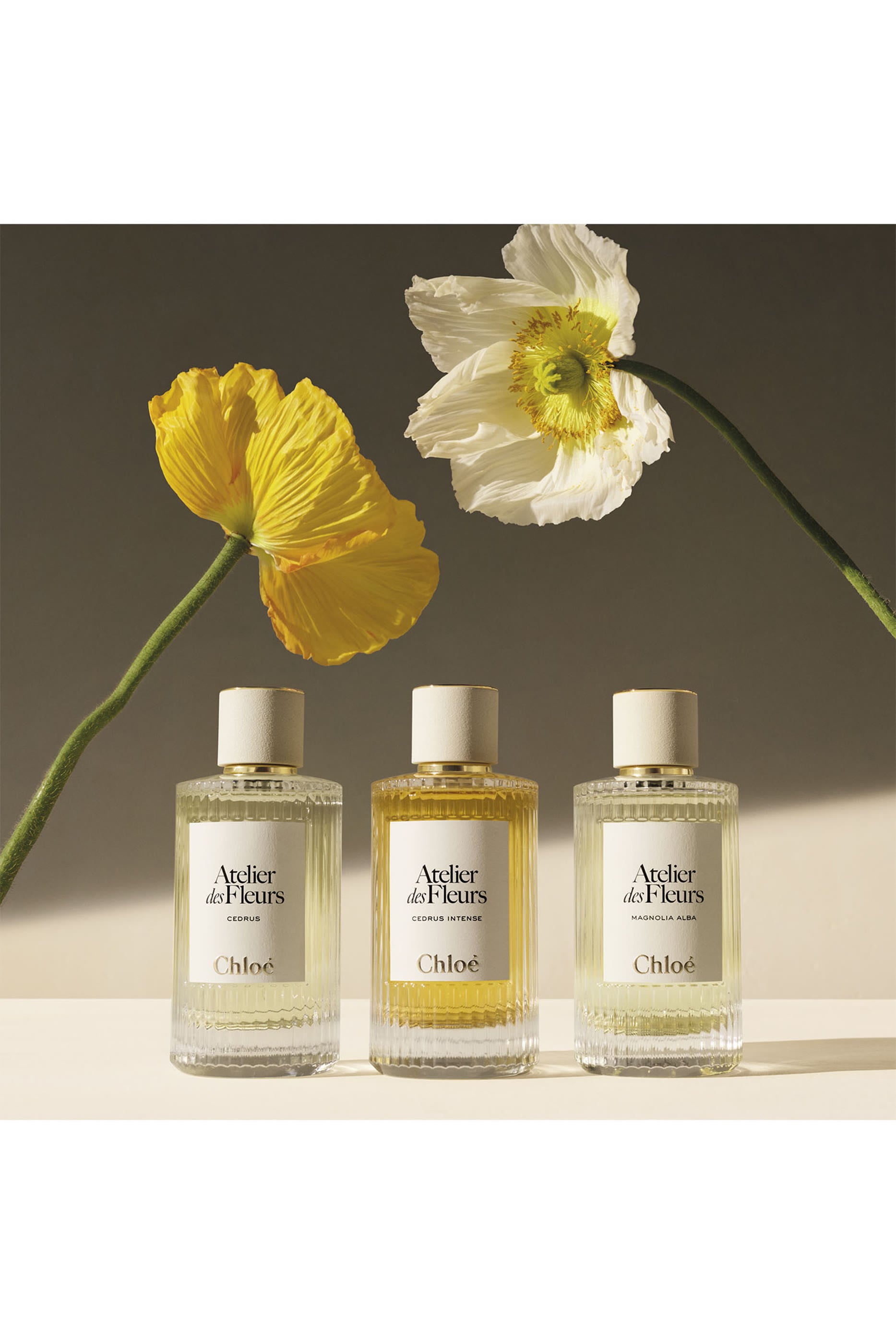 Atelier des Fleurs Immortelle Eau de Parfum