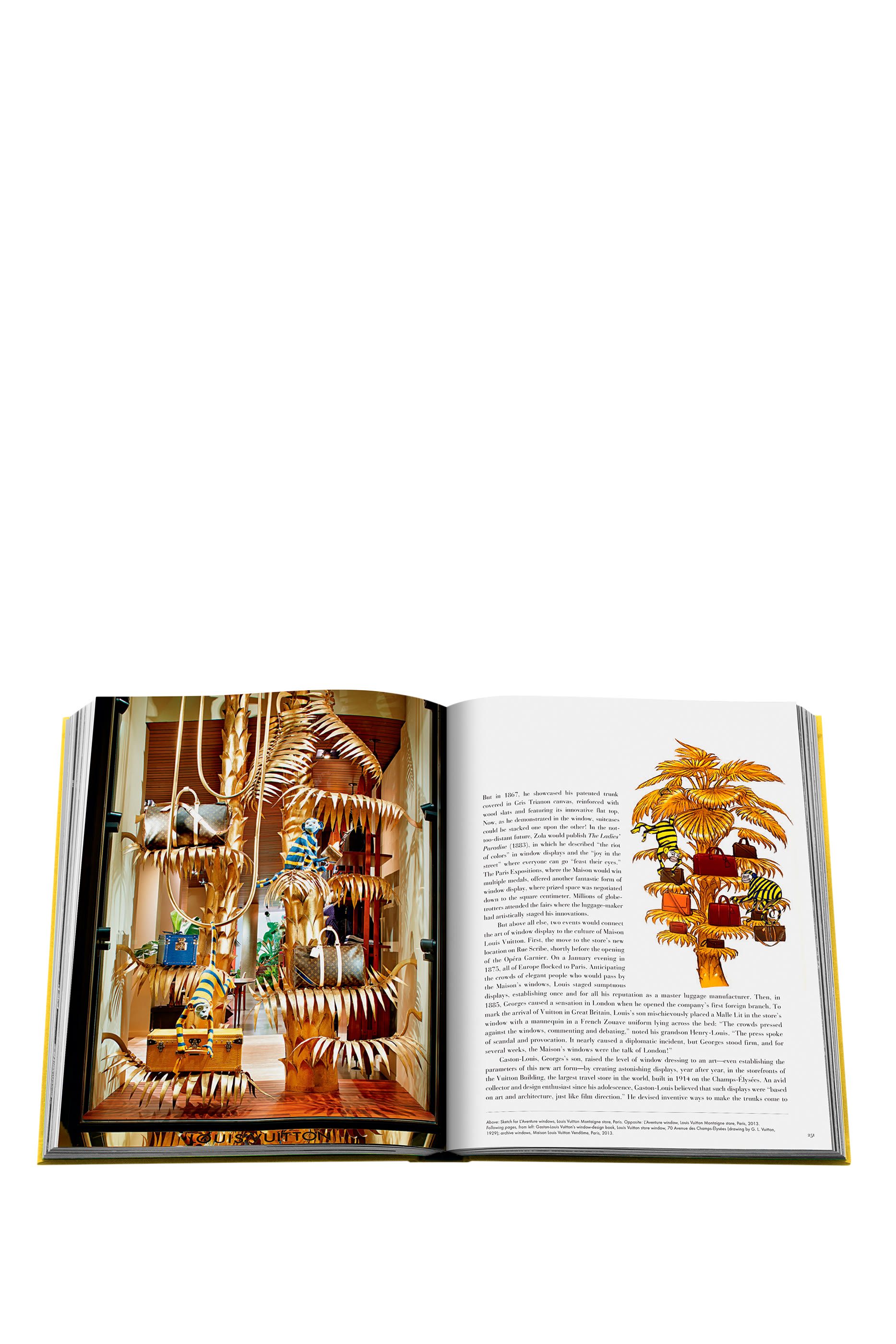 From Louis to Vuitton Coffee Table Book