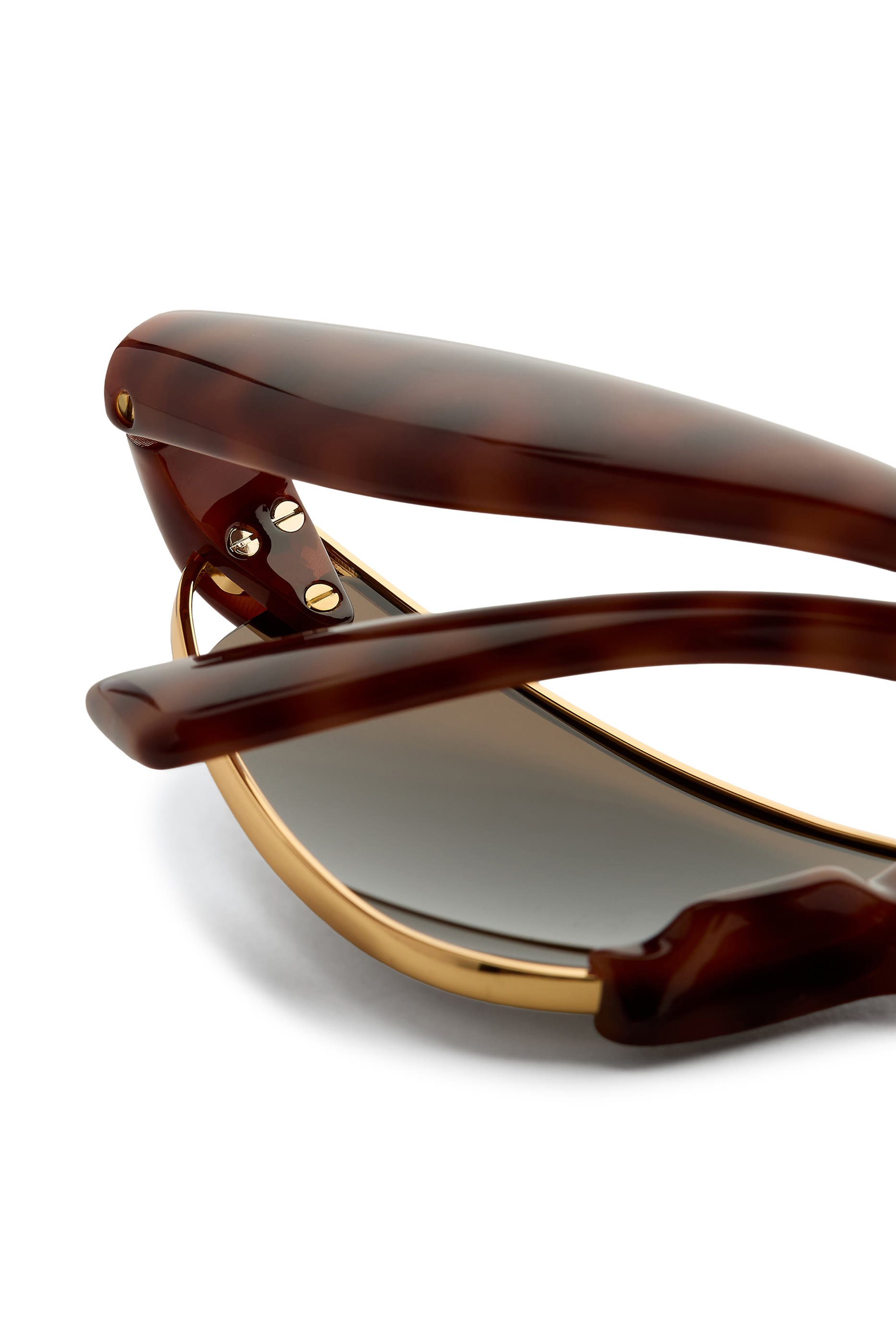 Prisma Cat Eye Sunglasses