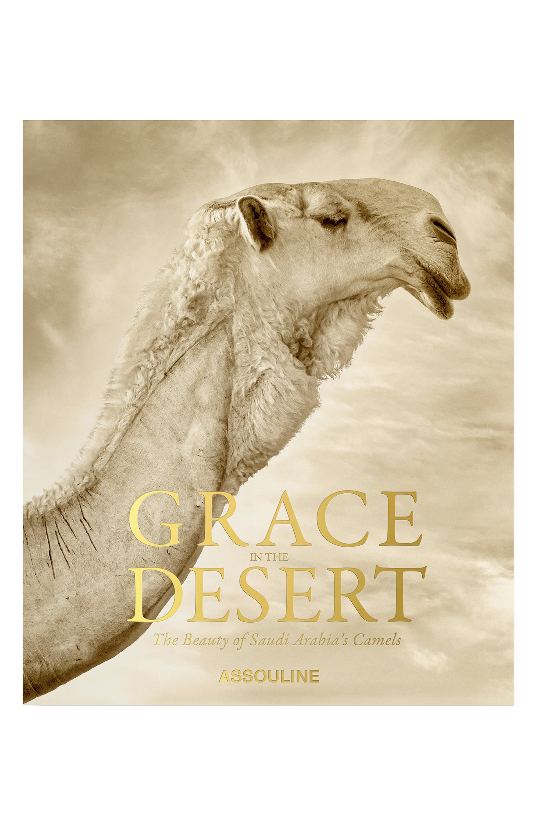 Grace in the Desert: The Beauty of Saudi Arabia’s Camels