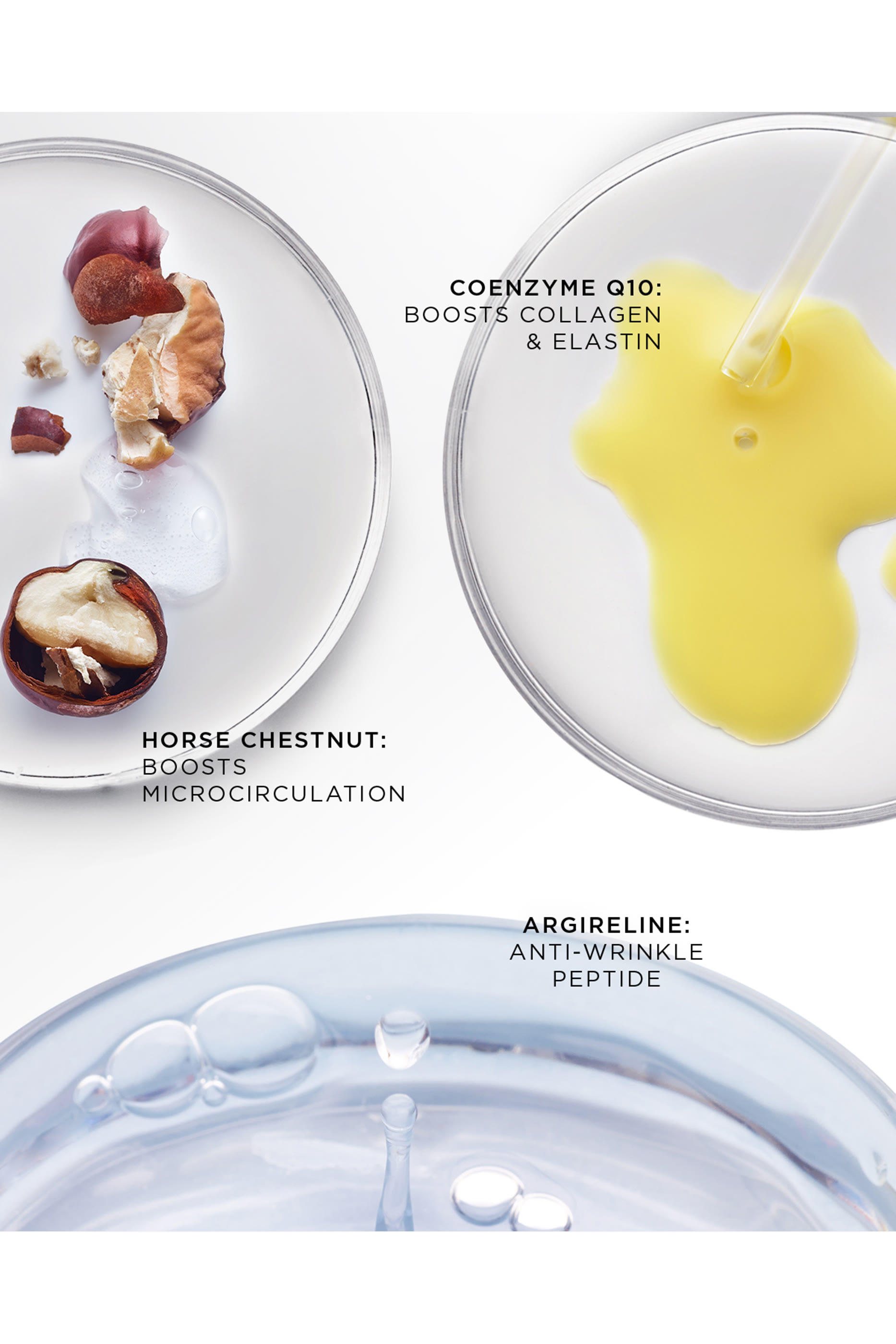 The Absolute Restoring Eye Cream Refill