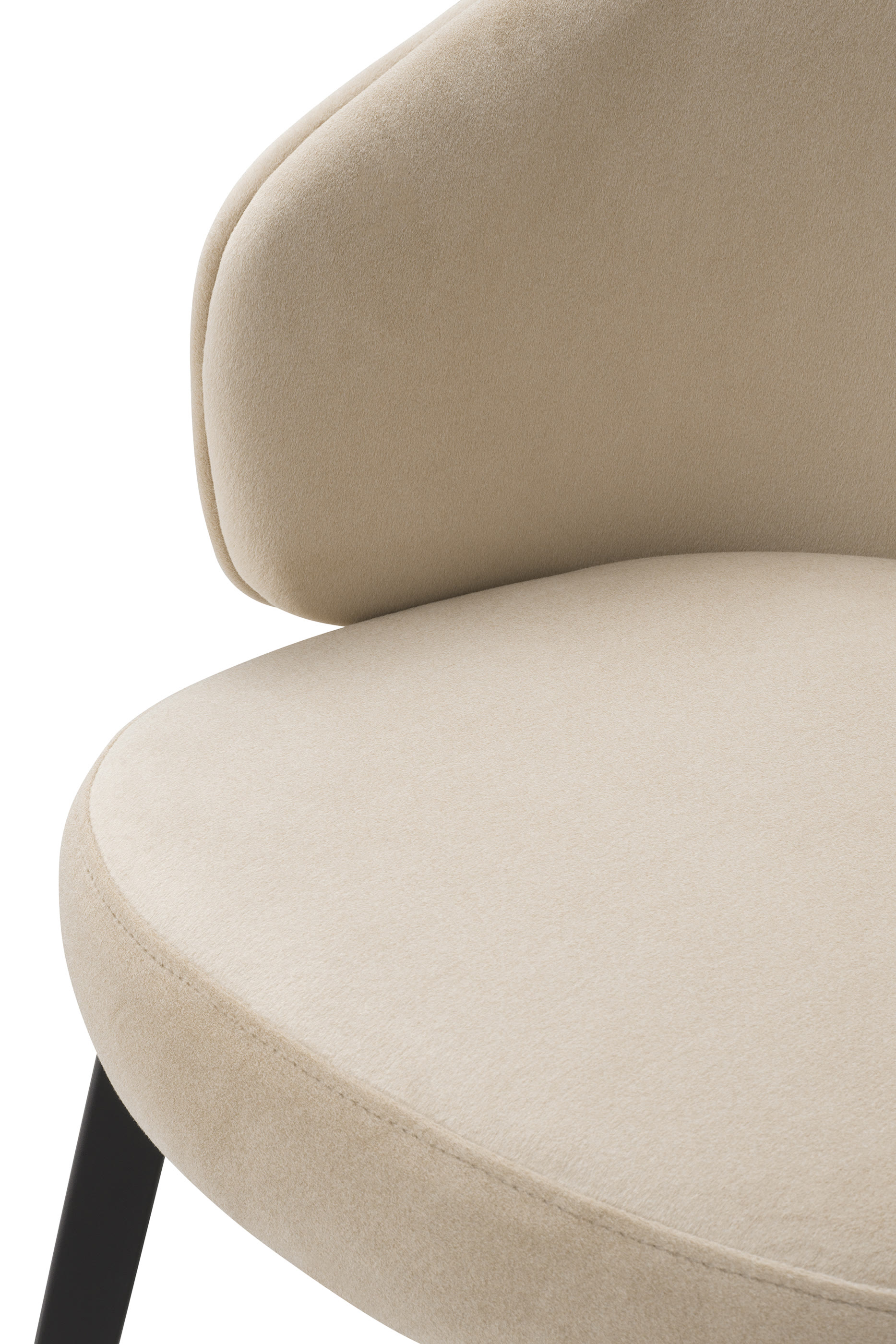 Camerota Dining Chair