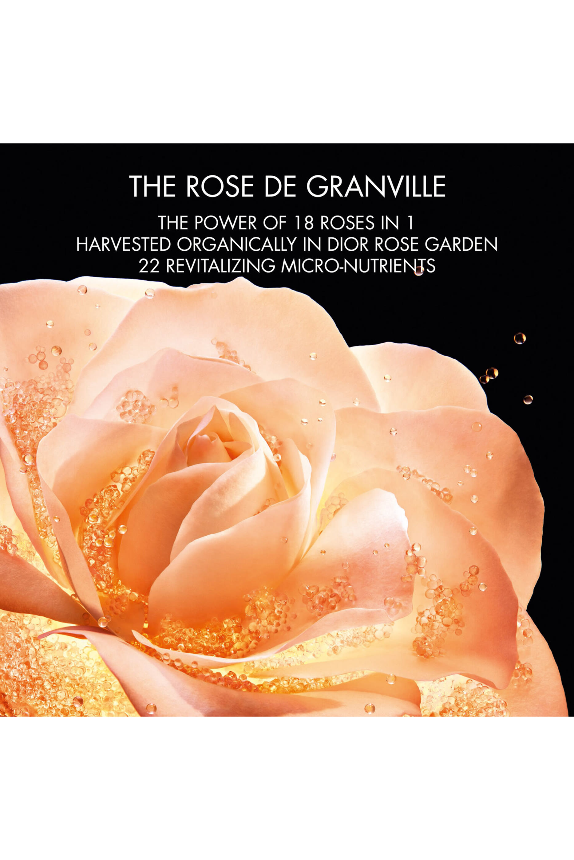 Prestige La Micro-Huile de Rose Activated Serum 
