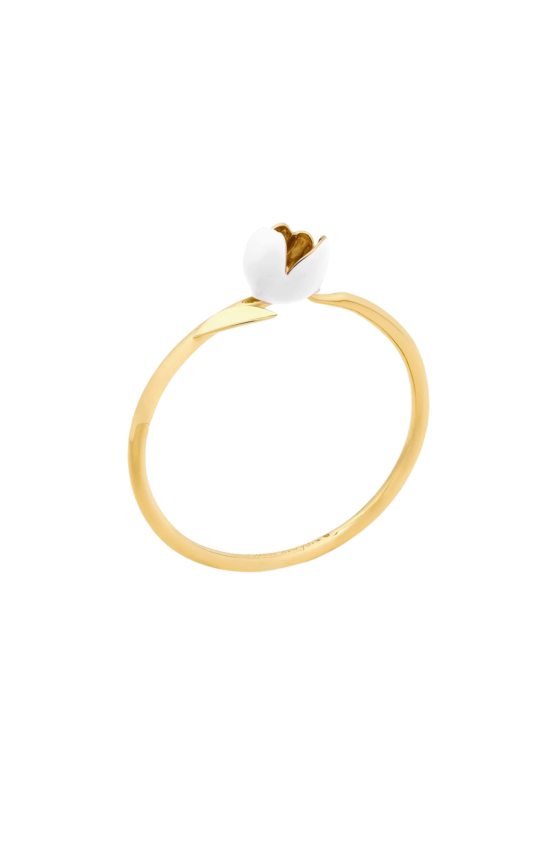 Bloom Bangle, Enamel