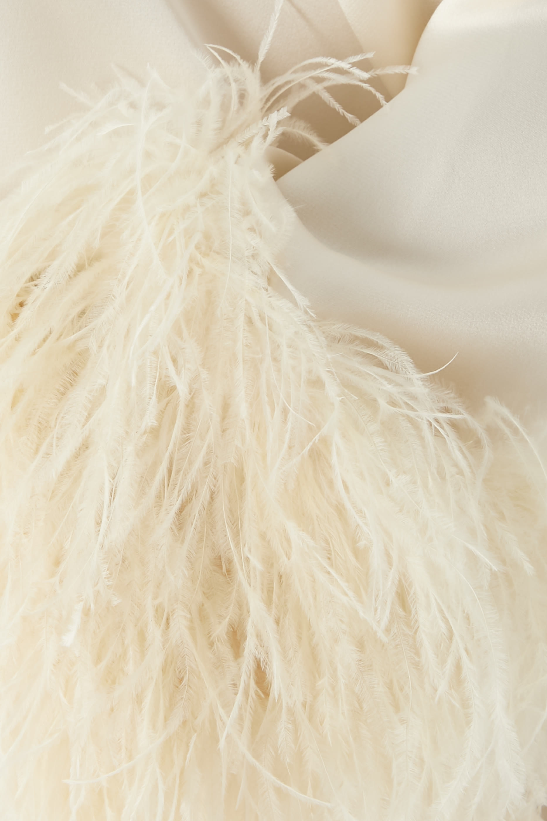 Satin Top With Feathers