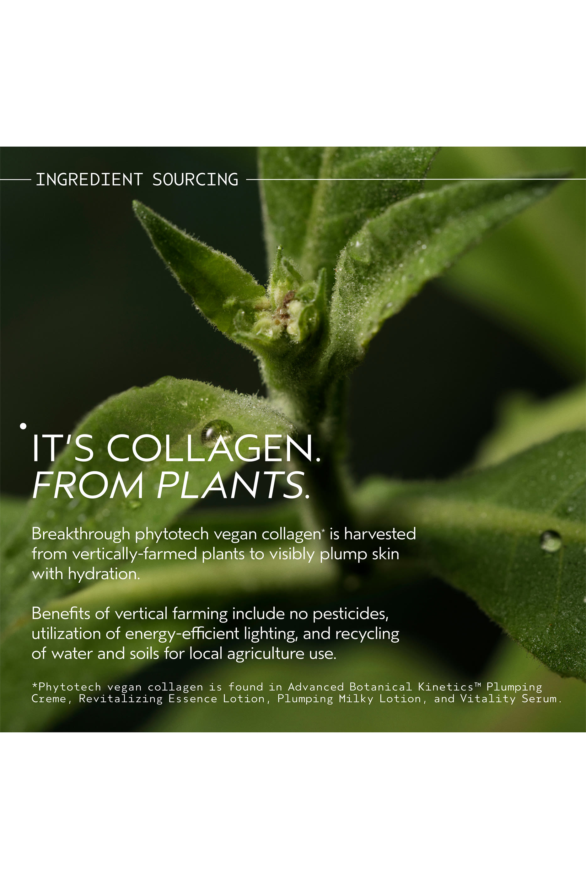 Advanced Botanical Kinetics™ Plumping Creme 