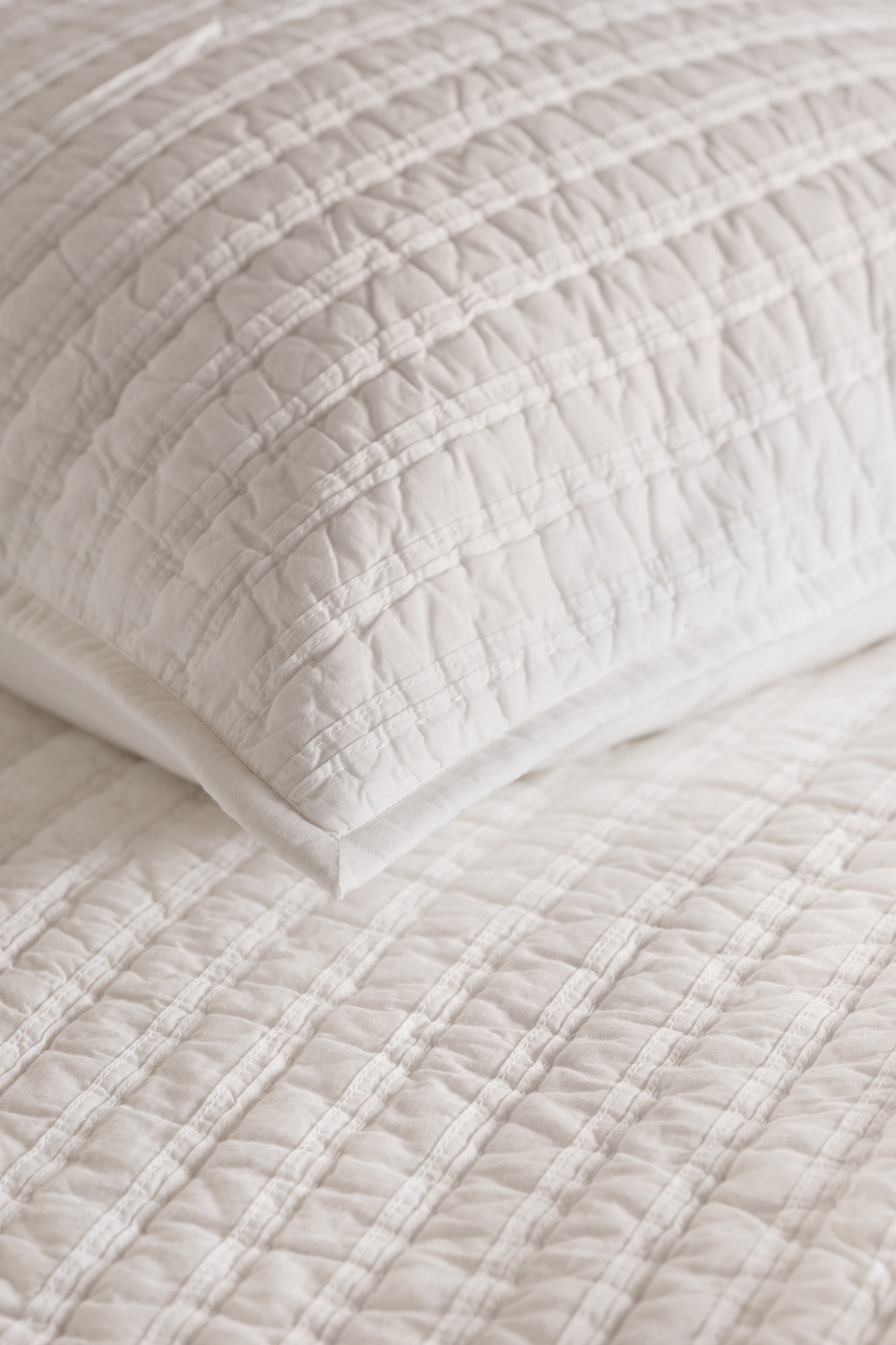 Seville Cushion 