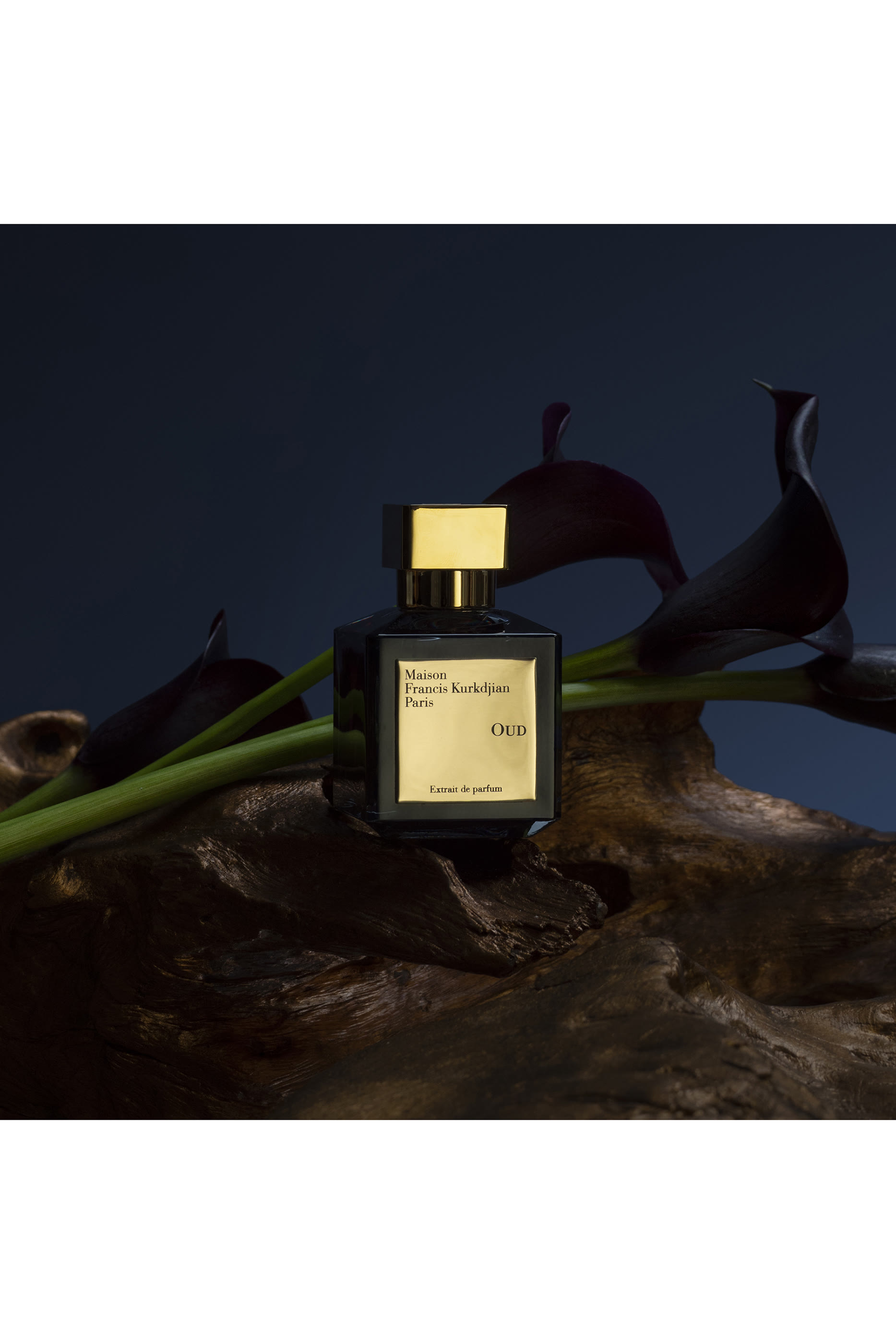 Oud Extrait de Parfum