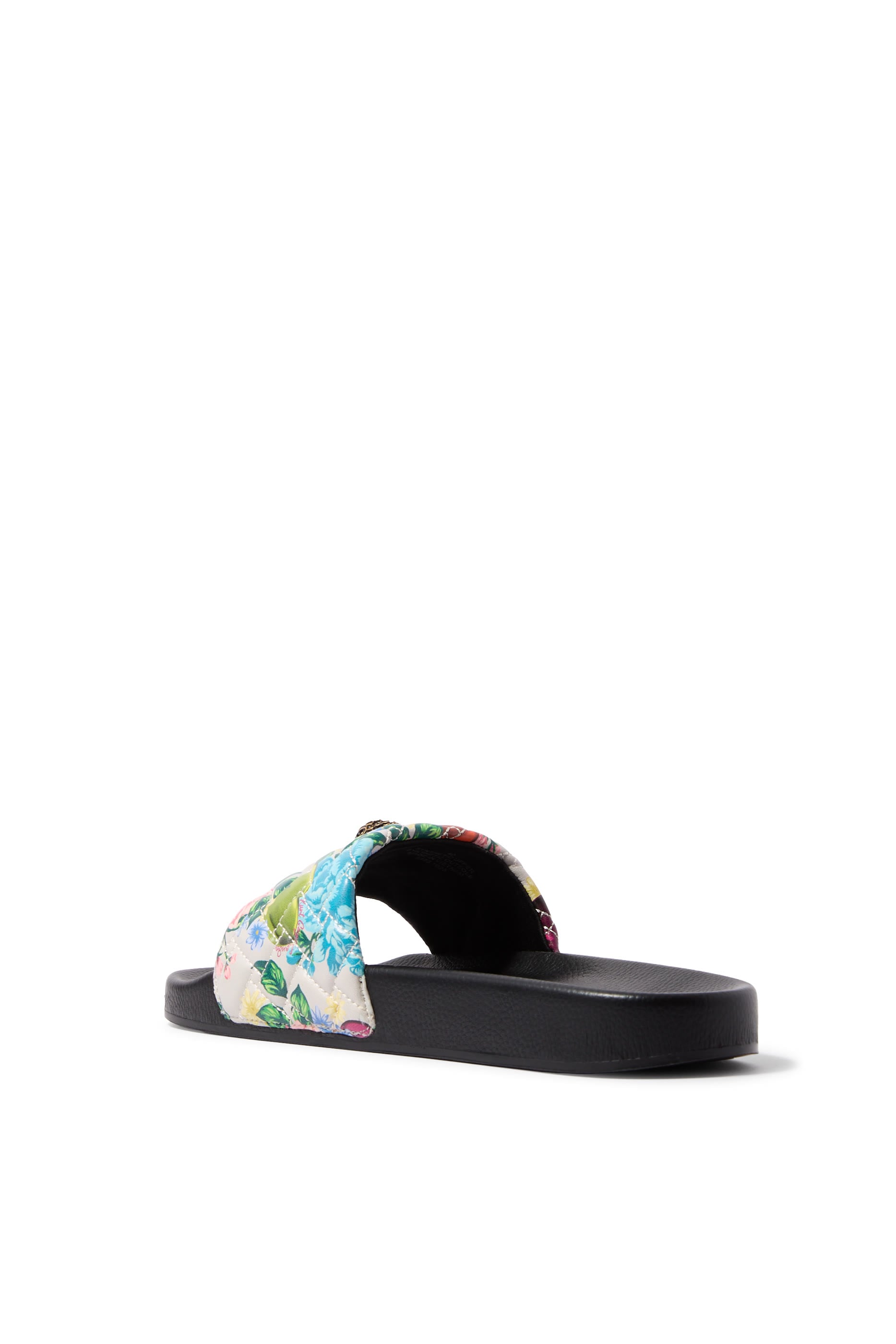 Meena Eagle Slides